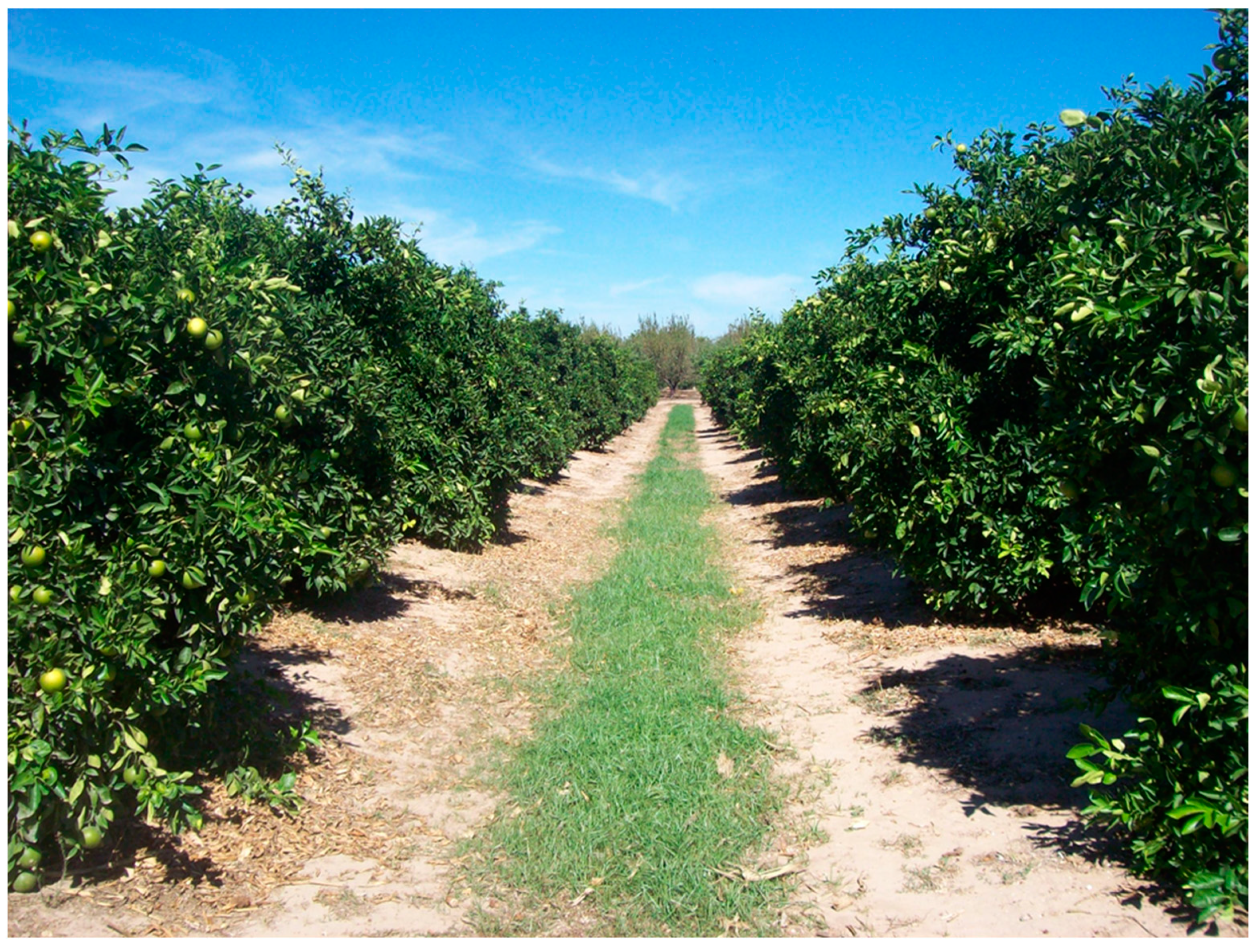 Agronomy 11 00660 g001