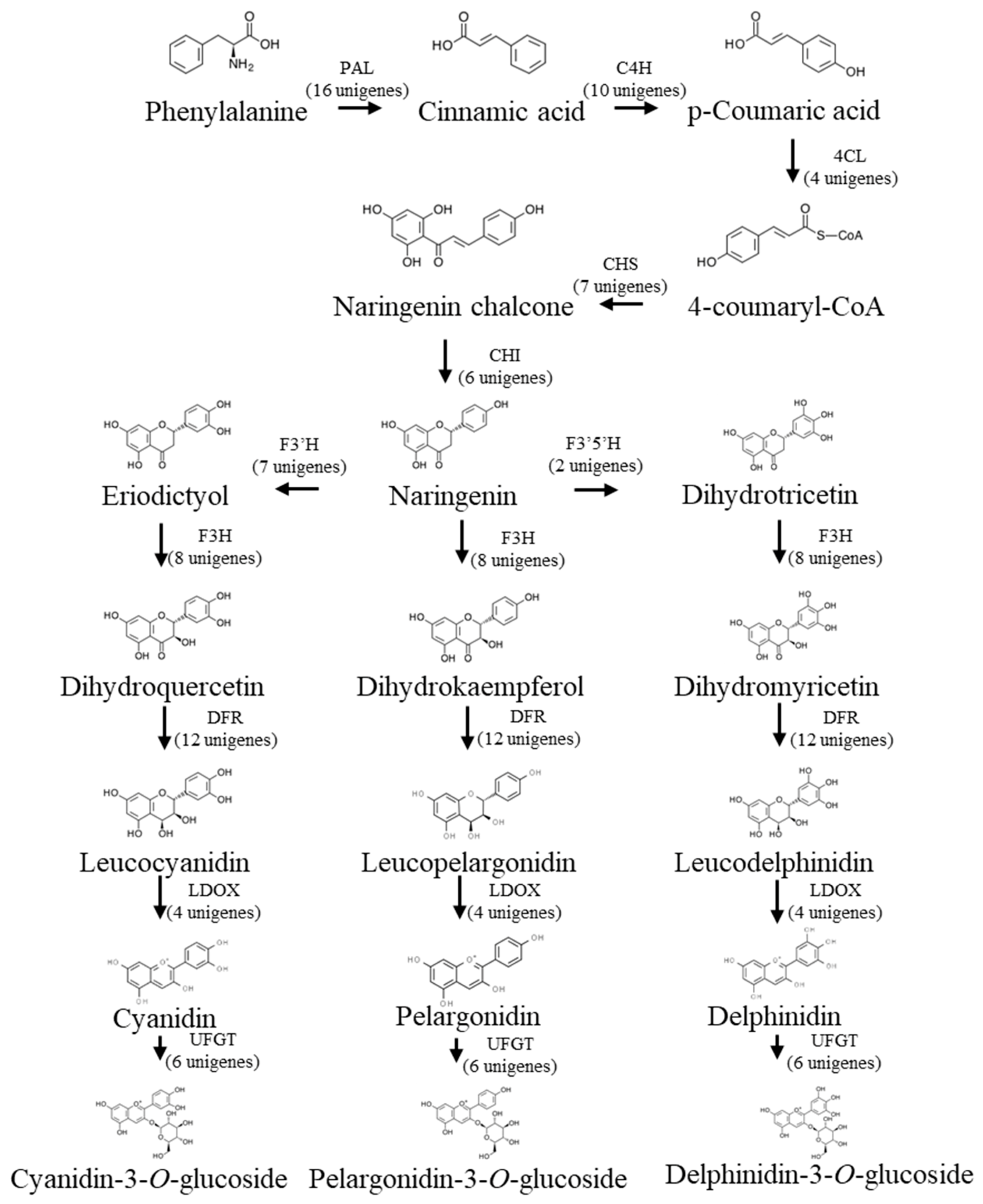 Agronomy 11 00661 g005 Agronomy 11 00661 g005