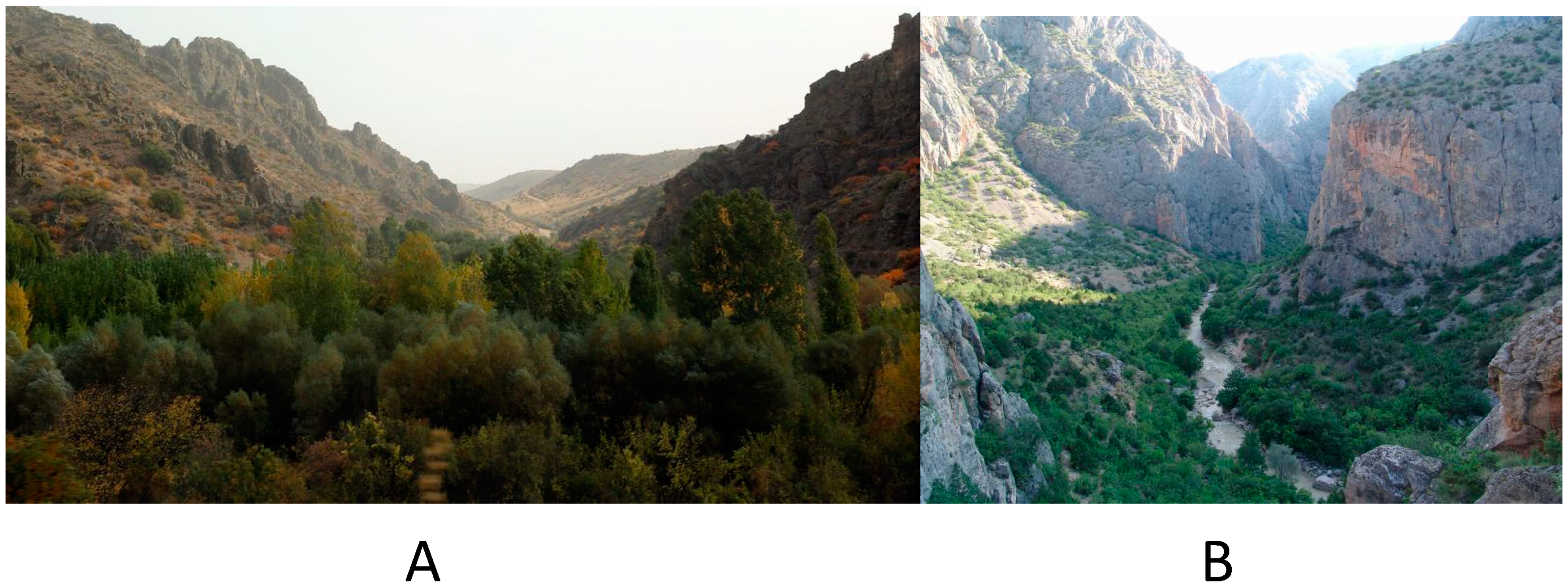 Agronomy 11 00671 g001 Agronomy 11 00671 g001