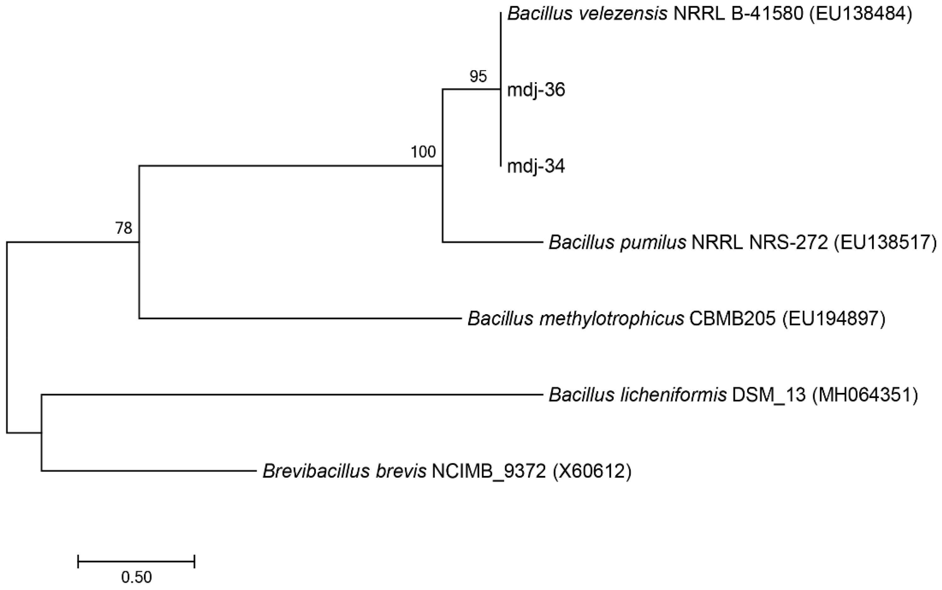 Agronomy 11 00683 g001 Agronomy 11 00683 g001