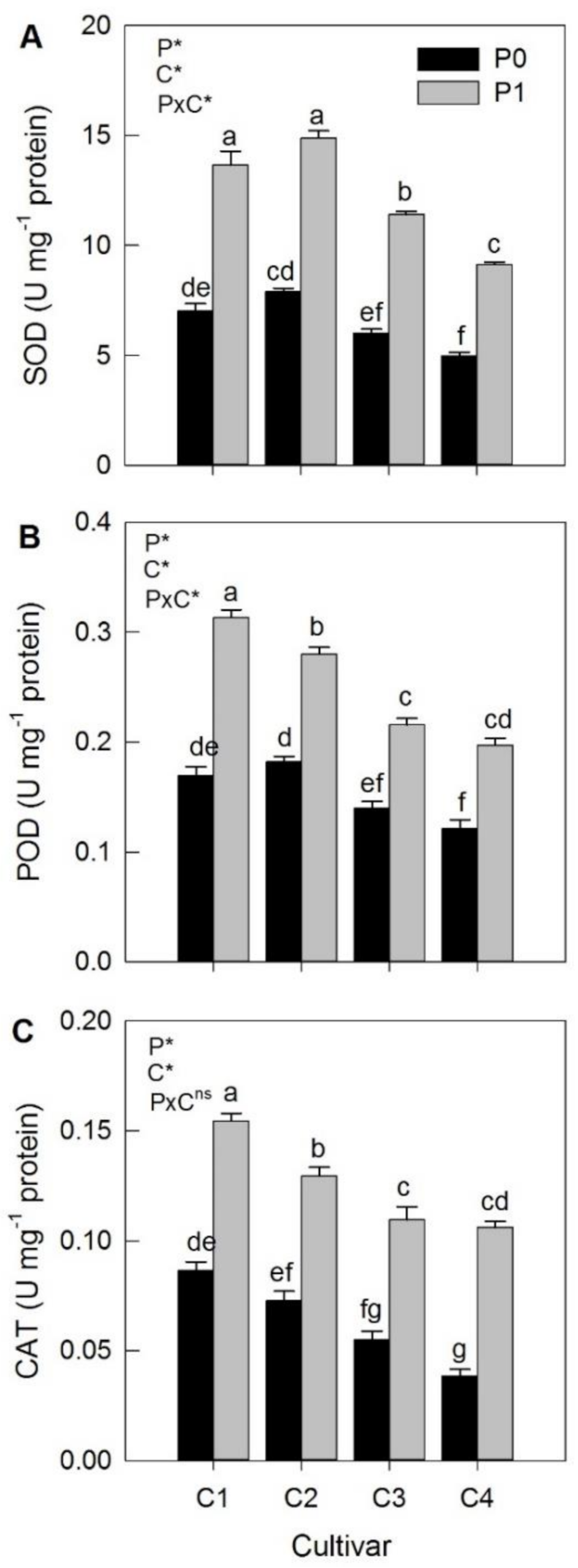 Agronomy 11 00685 g002