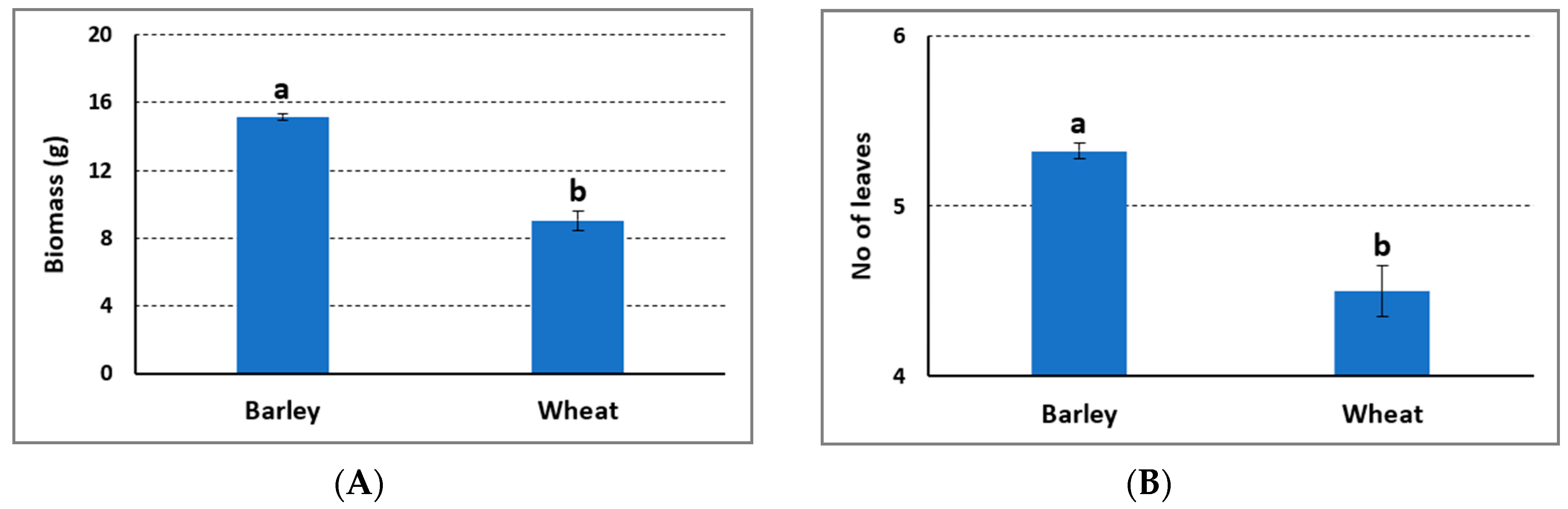 Agronomy 11 00690 g006