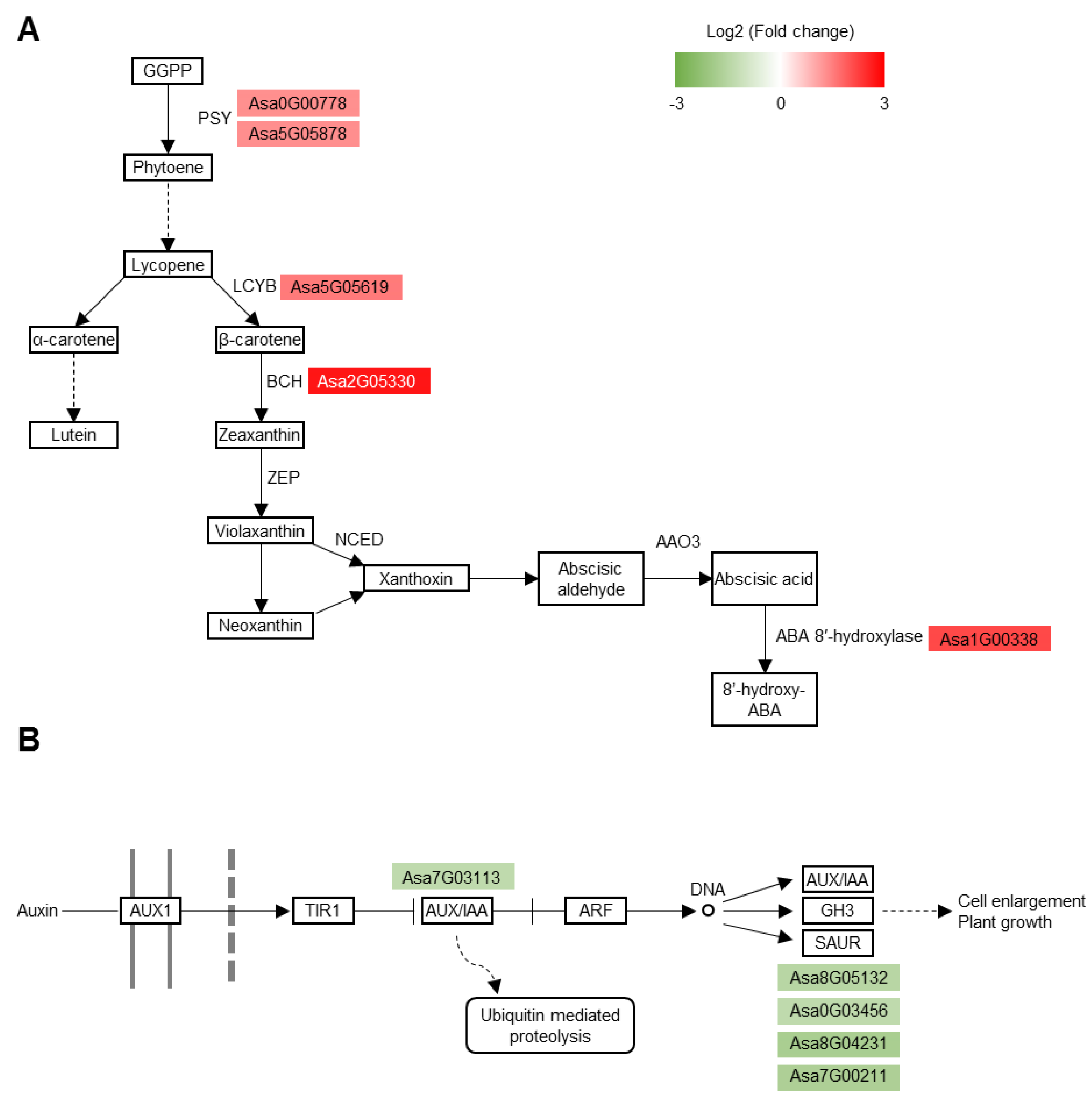 Agronomy 11 00691 g007 Agronomy 11 00691 g007