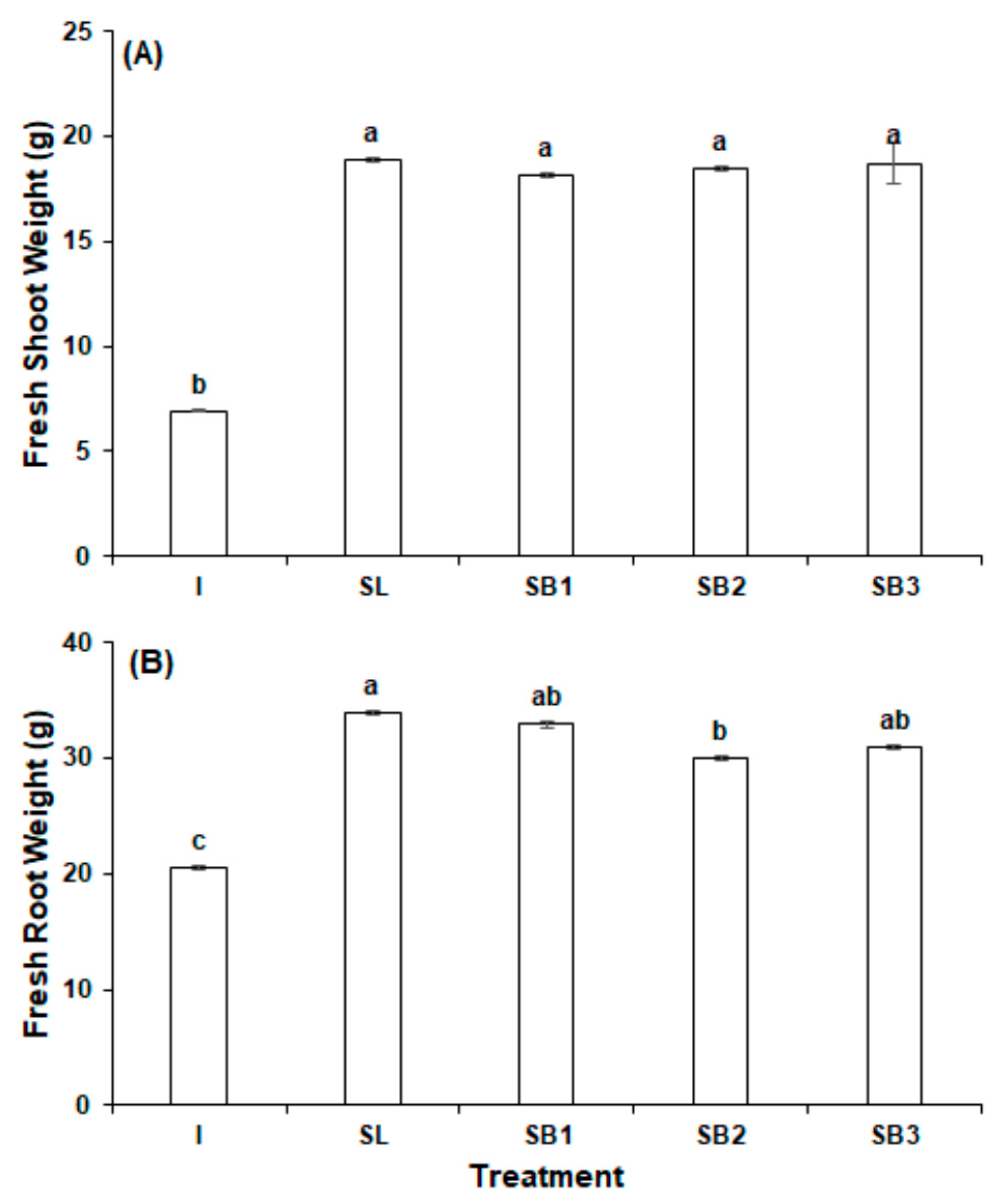 Agronomy 11 00697 g001