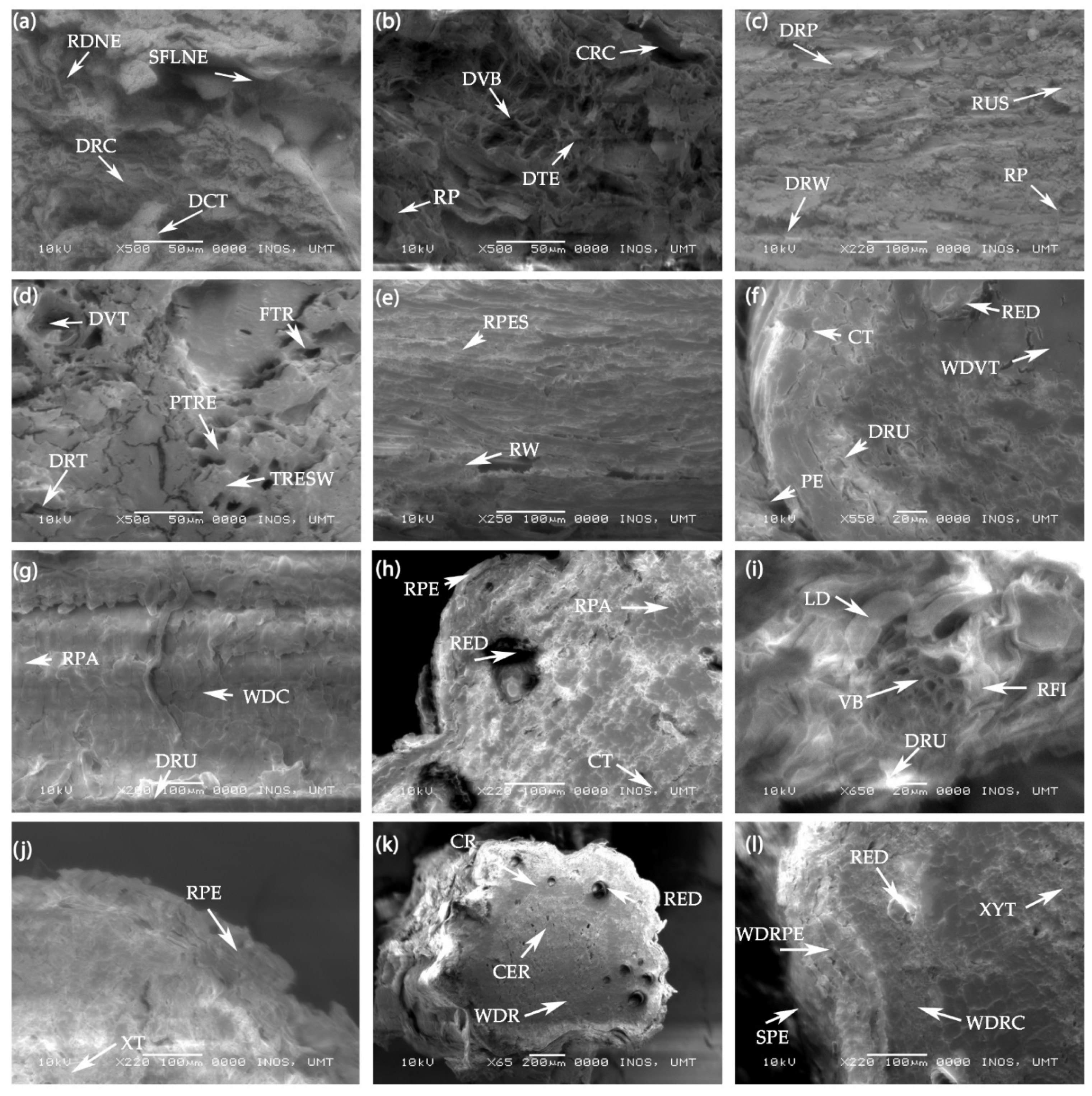 Agronomy 11 00704 g007 Agronomy 11 00704 g007