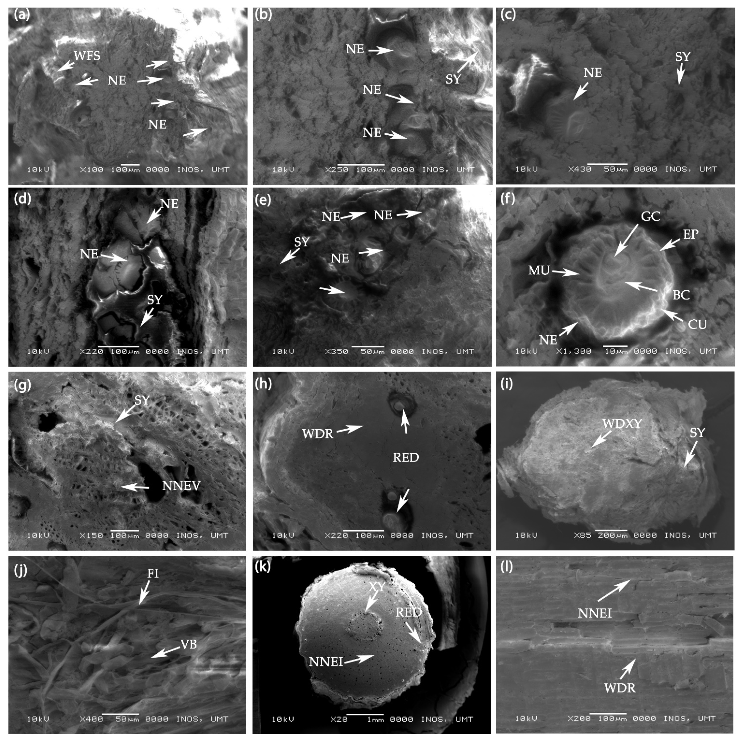 Agronomy 11 00704 g008 Agronomy 11 00704 g008