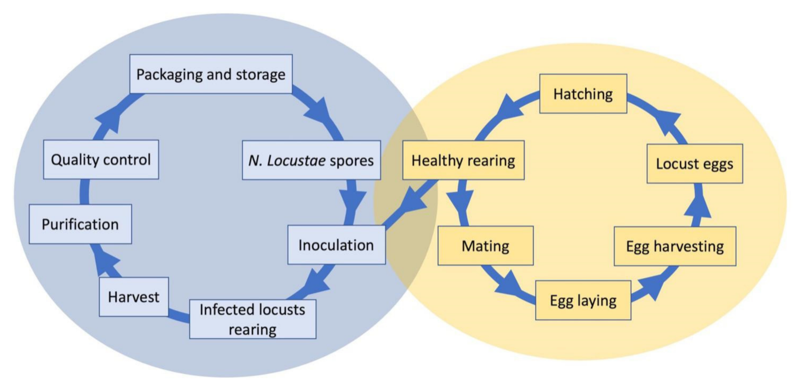 Agronomy 11 00711 g002 Agronomy 11 00711 g002