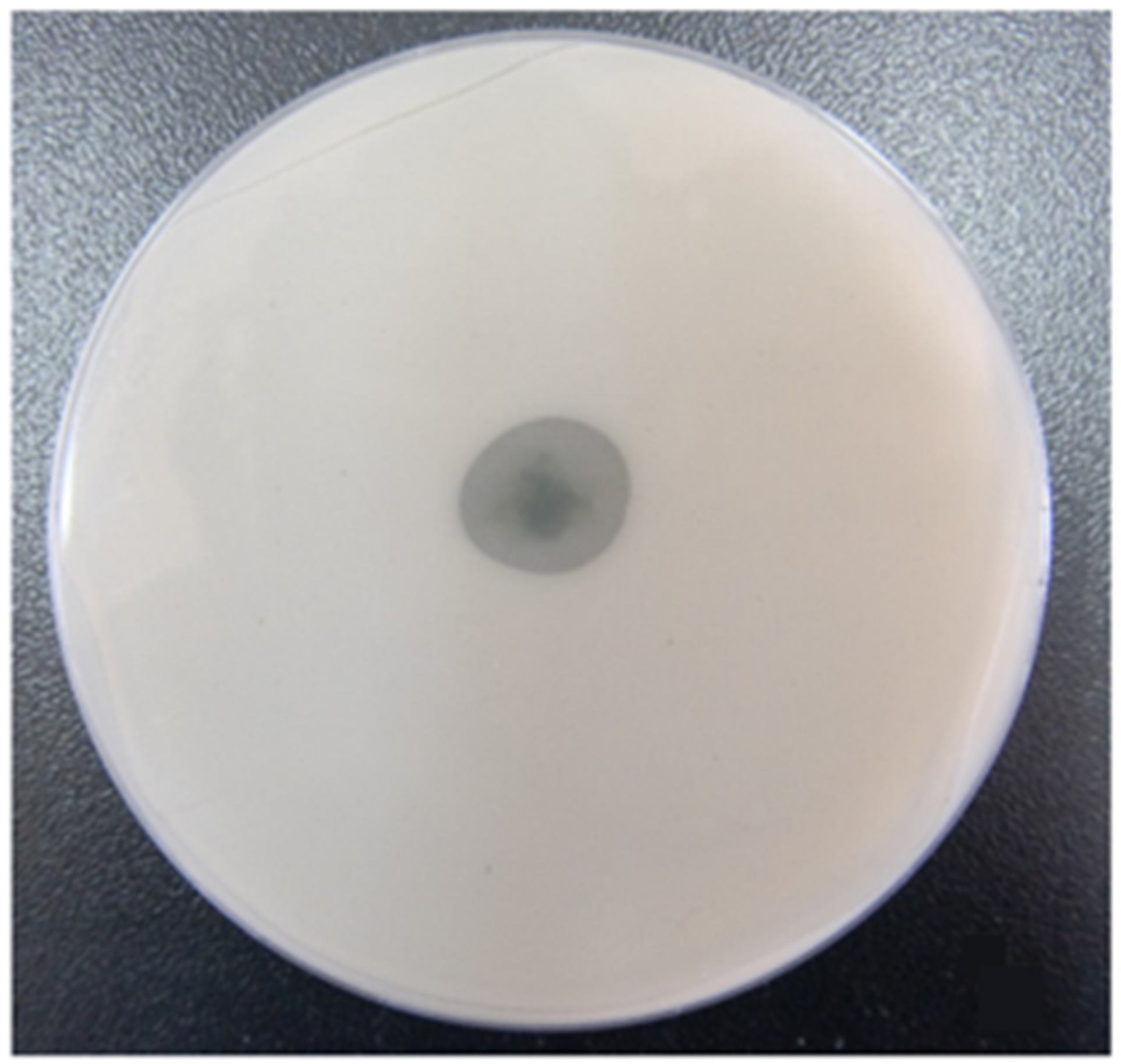 Agronomy 11 00726 g003 Agronomy 11 00726 g003