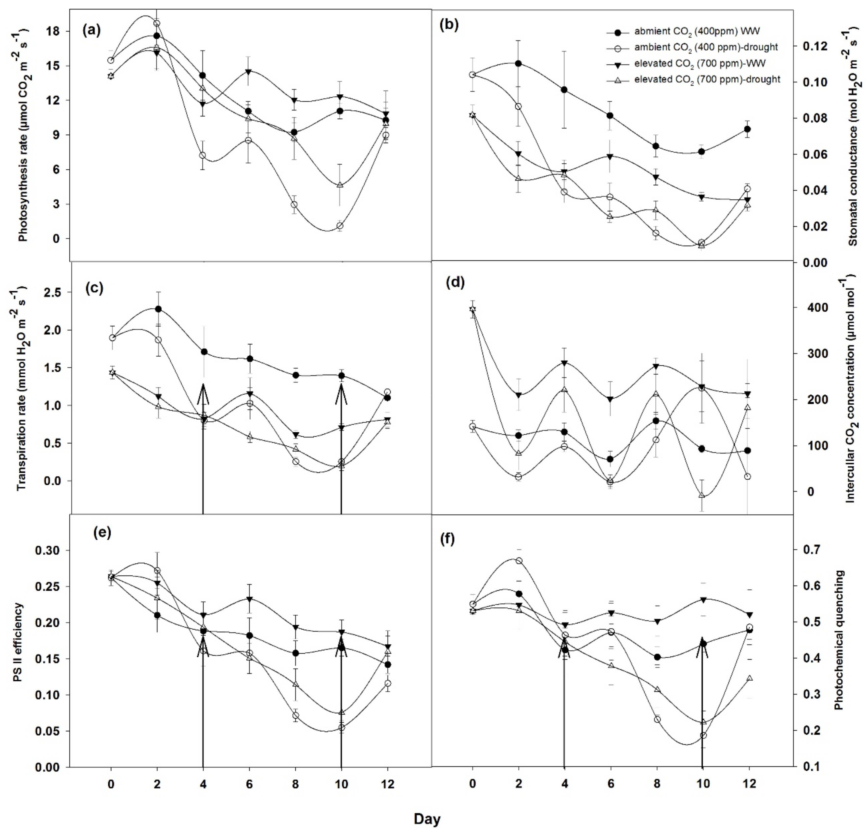 Agronomy 11 00728 g004 Agronomy 11 00728 g004