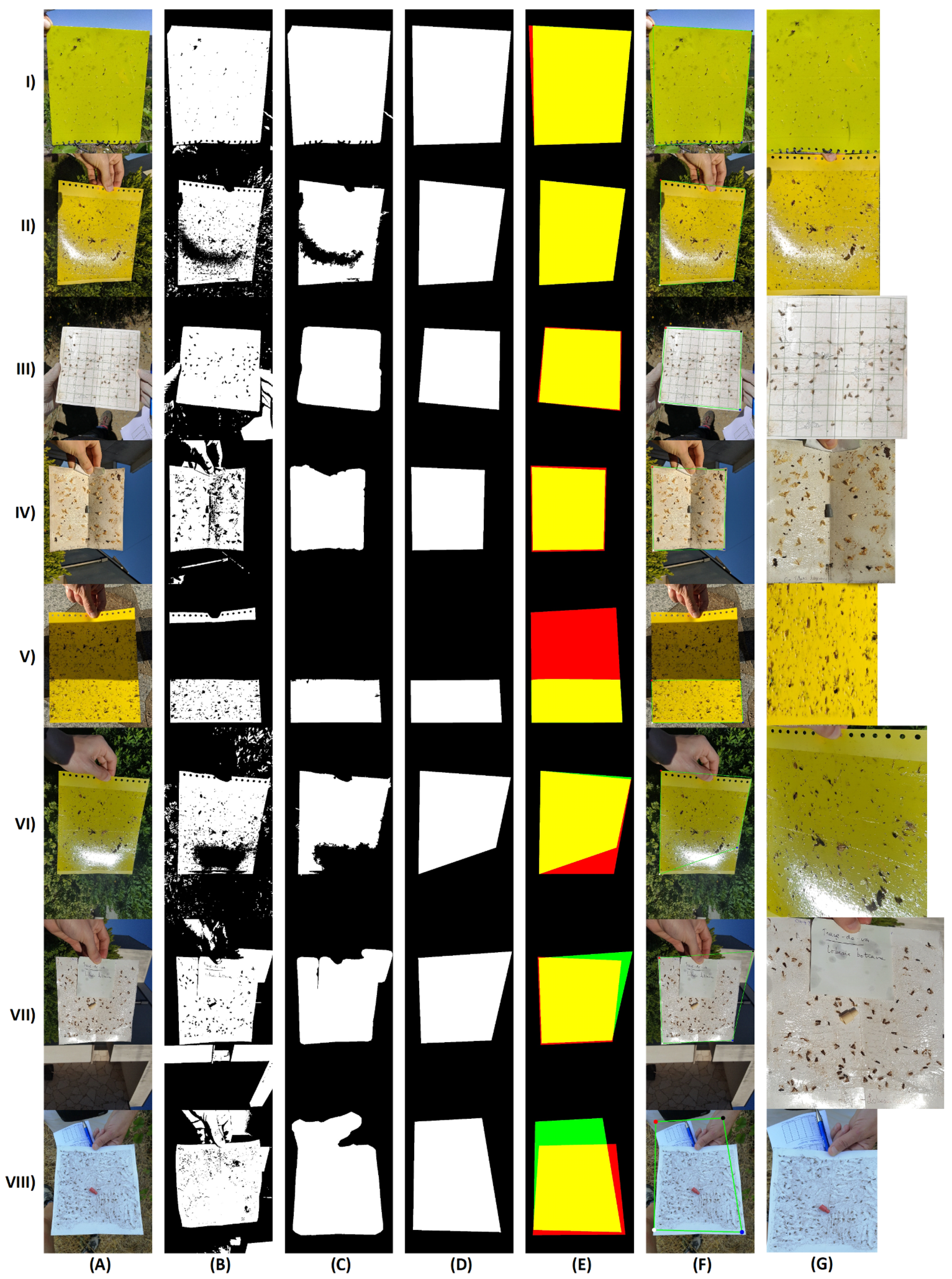 Agronomy 11 00731 g008