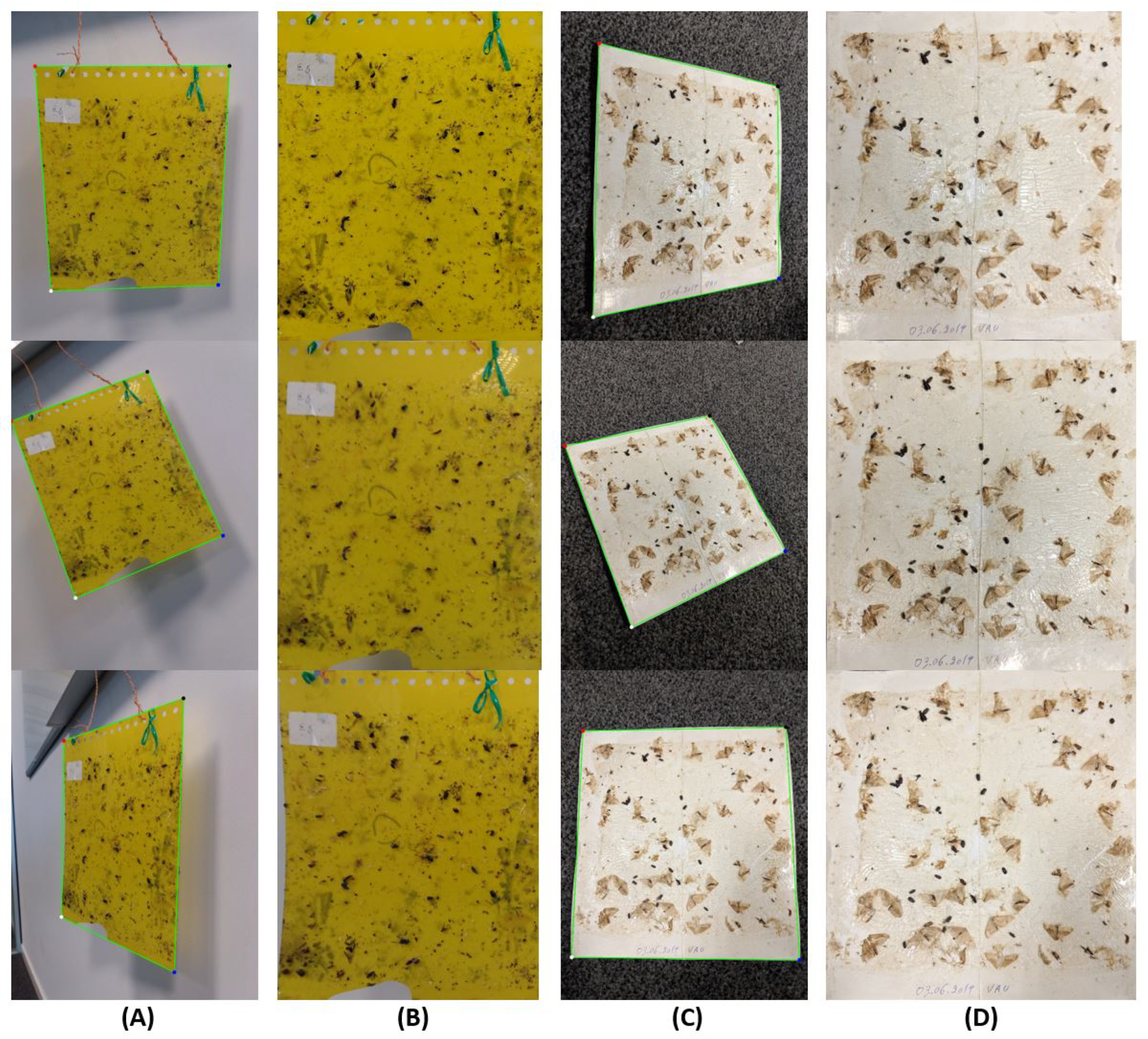 Agronomy 11 00731 g009