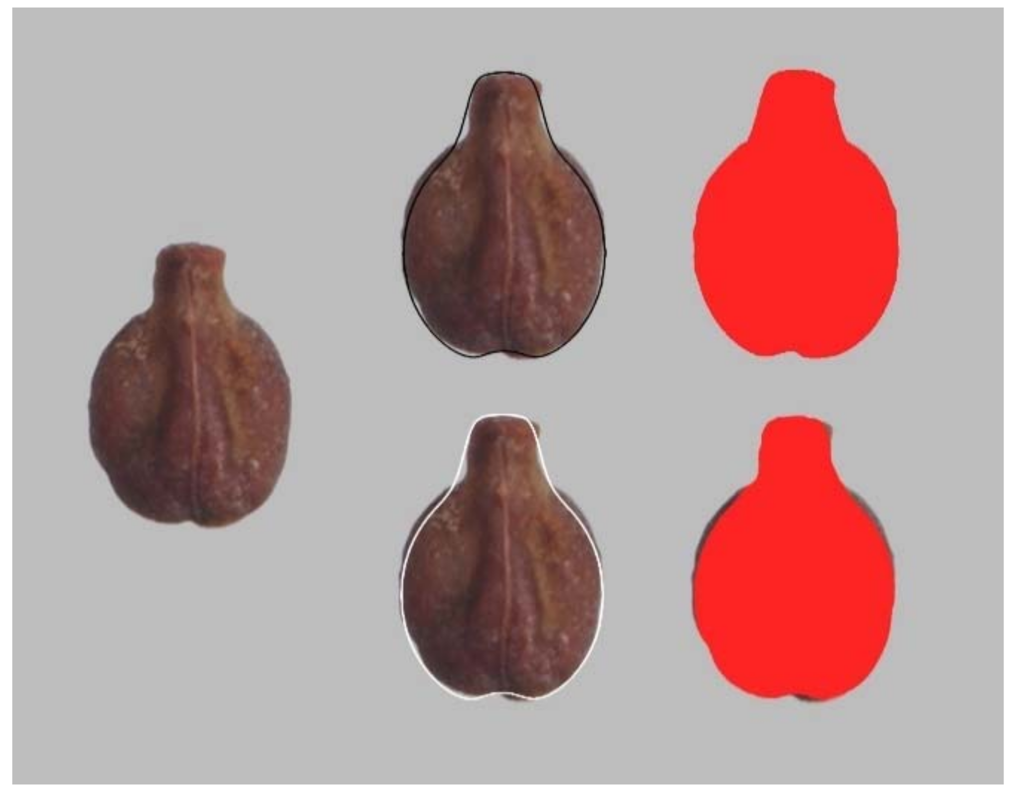 Agronomy 11 00734 g002