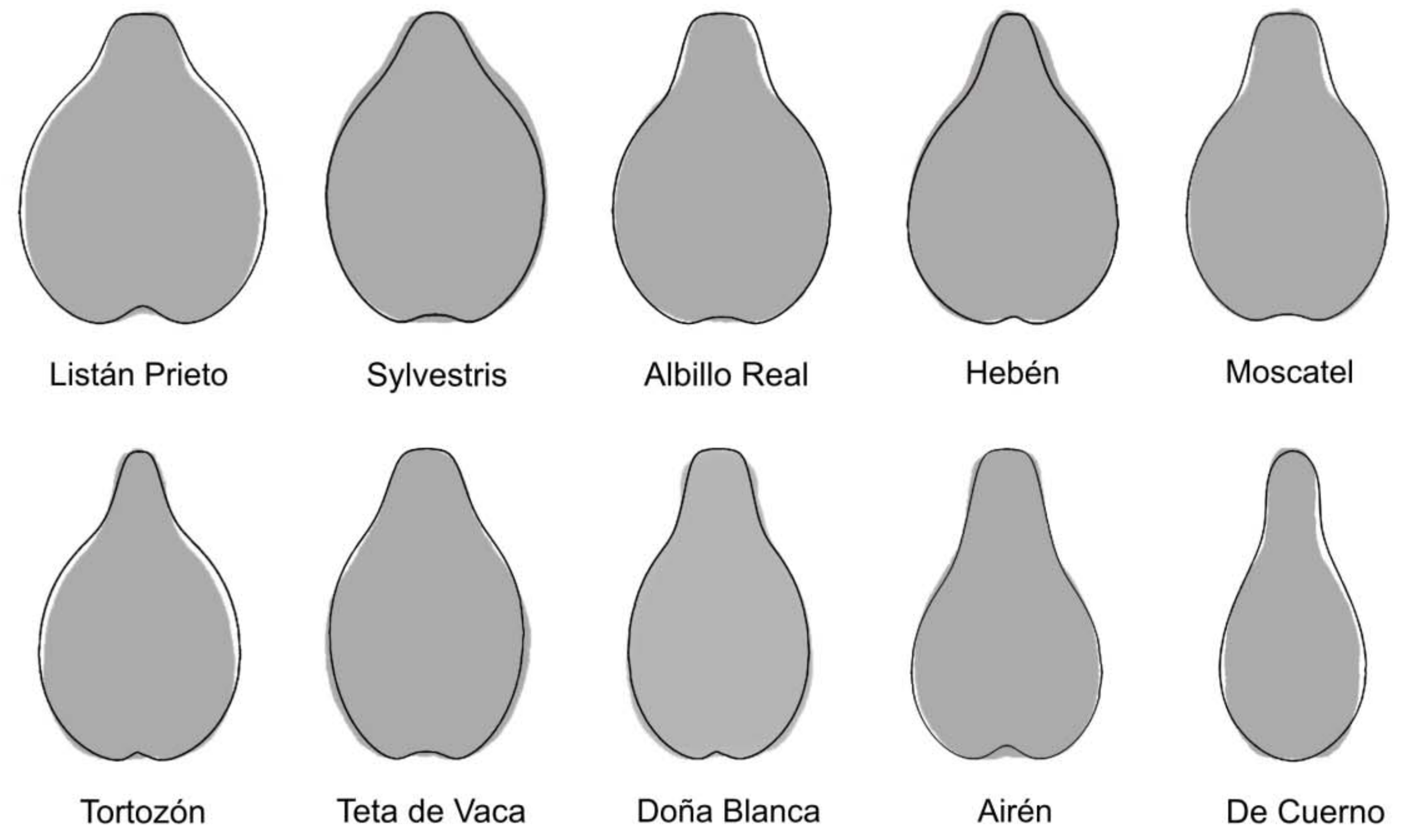 Agronomy 11 00734 g003