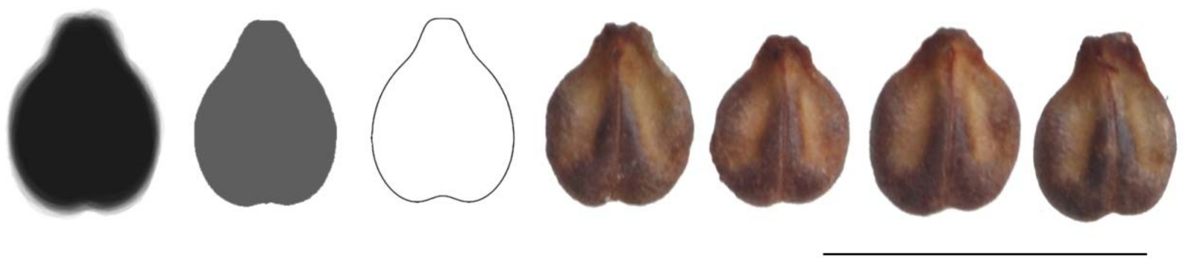 Agronomy 11 00734 g004