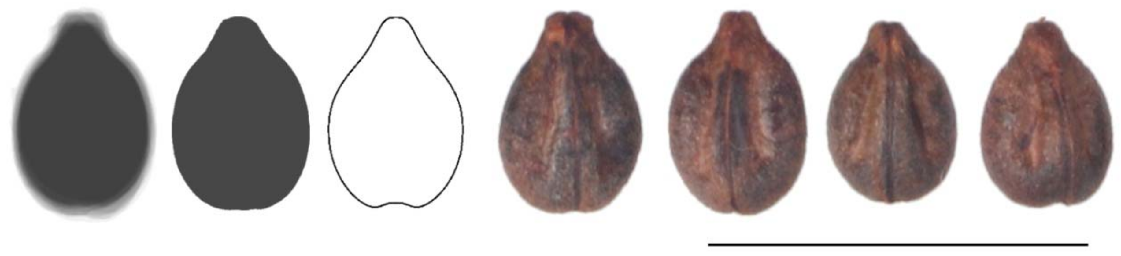 Agronomy 11 00734 g006