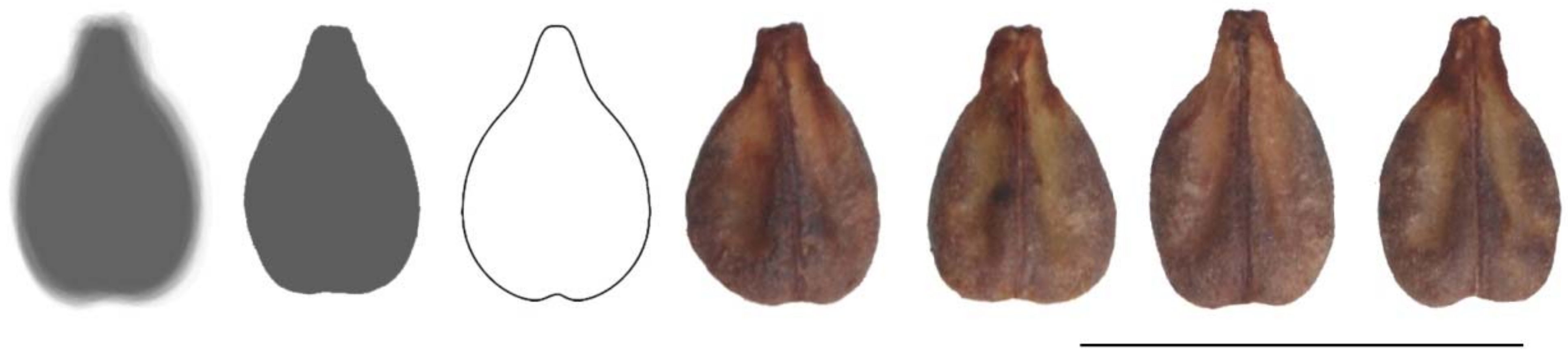 Agronomy 11 00734 g010