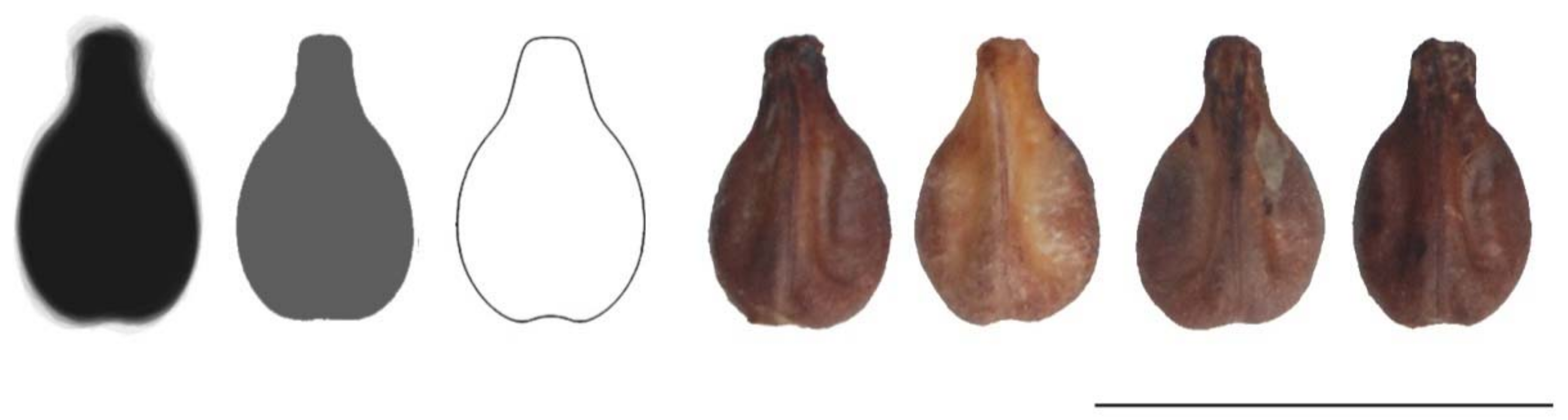 Agronomy 11 00734 g012