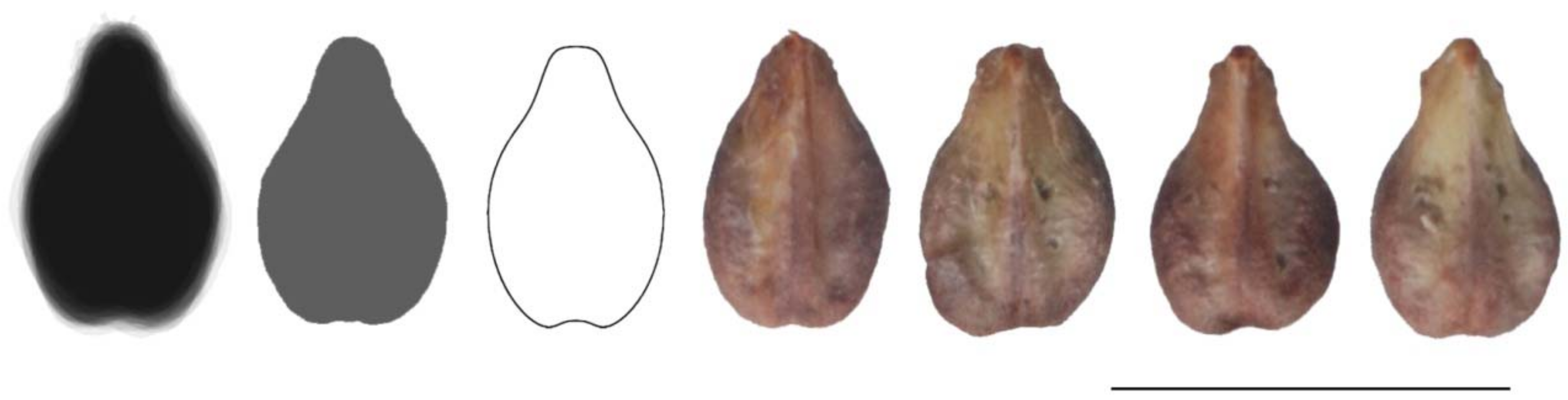 Agronomy 11 00734 g016