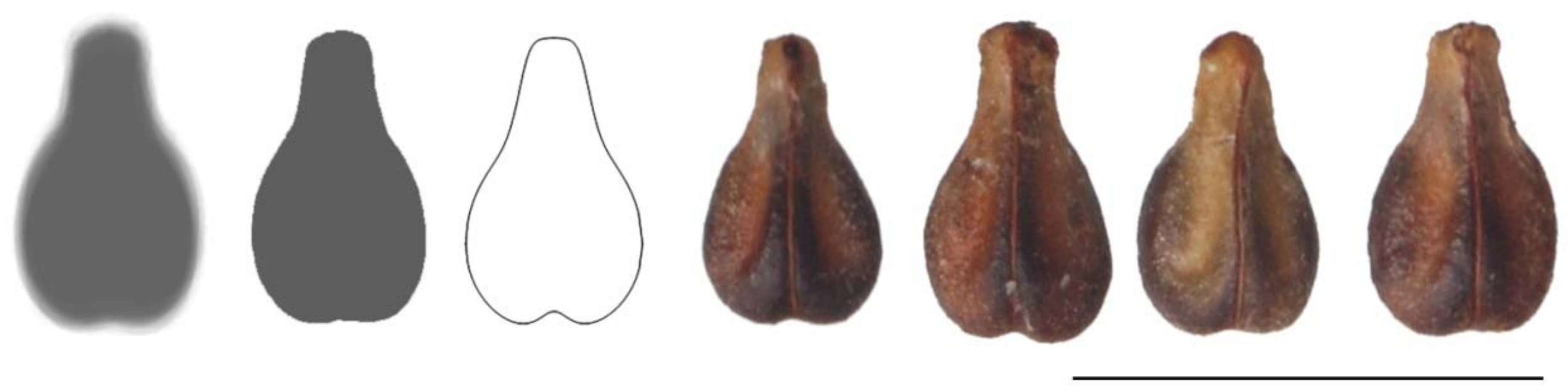 Agronomy 11 00734 g020