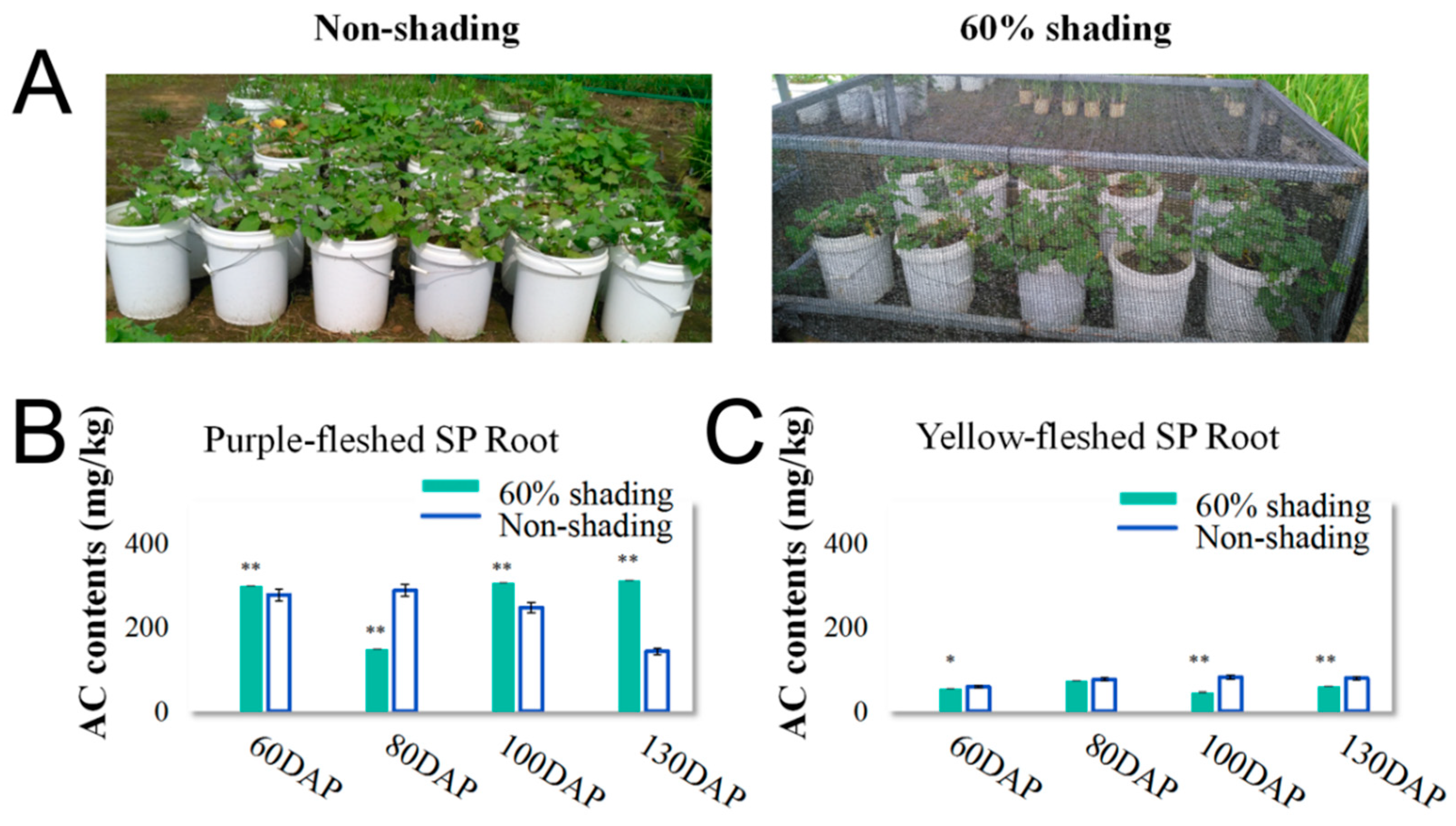 Agronomy 11 00737 g001 Agronomy 11 00737 g001