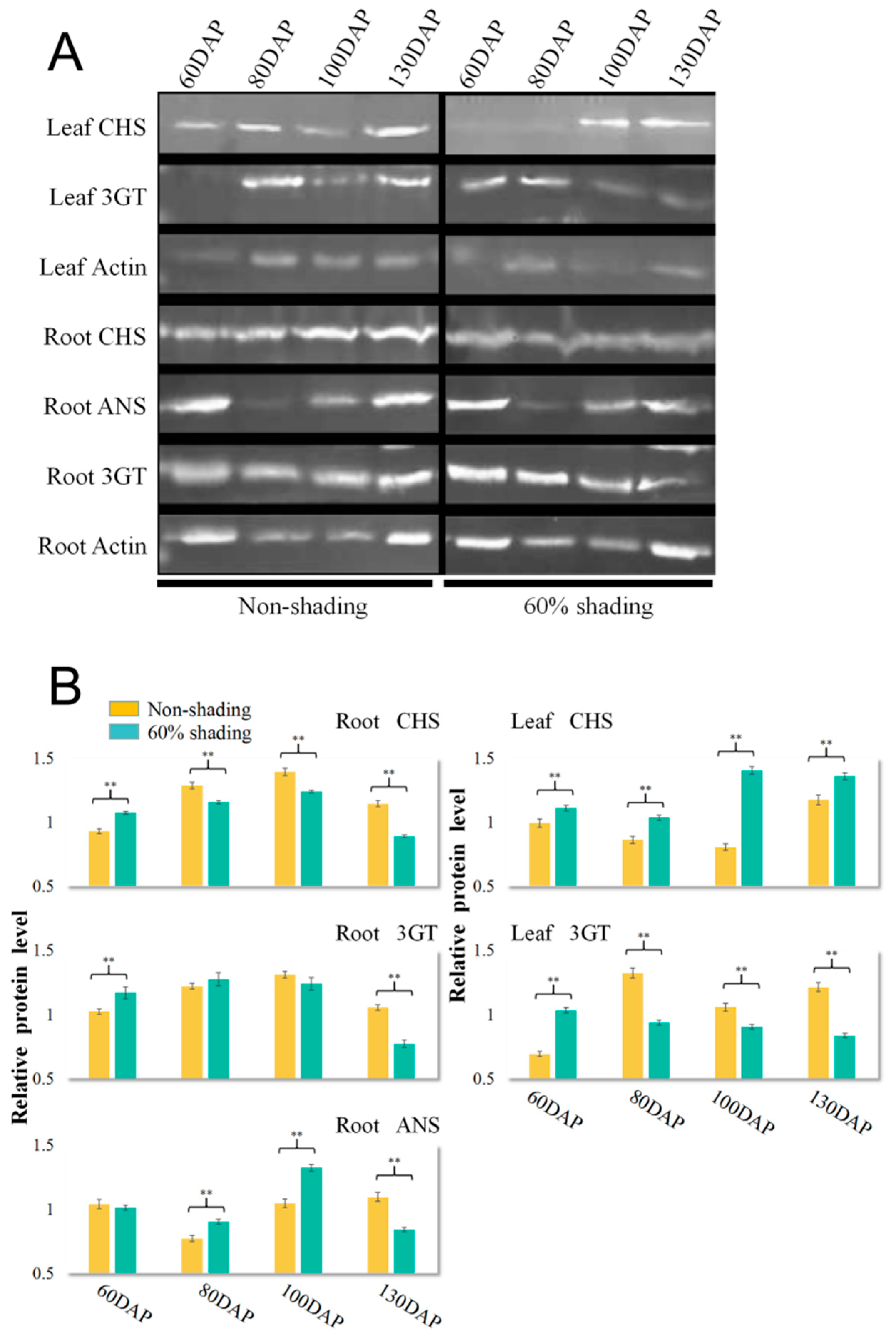 Agronomy 11 00737 g007 Agronomy 11 00737 g007