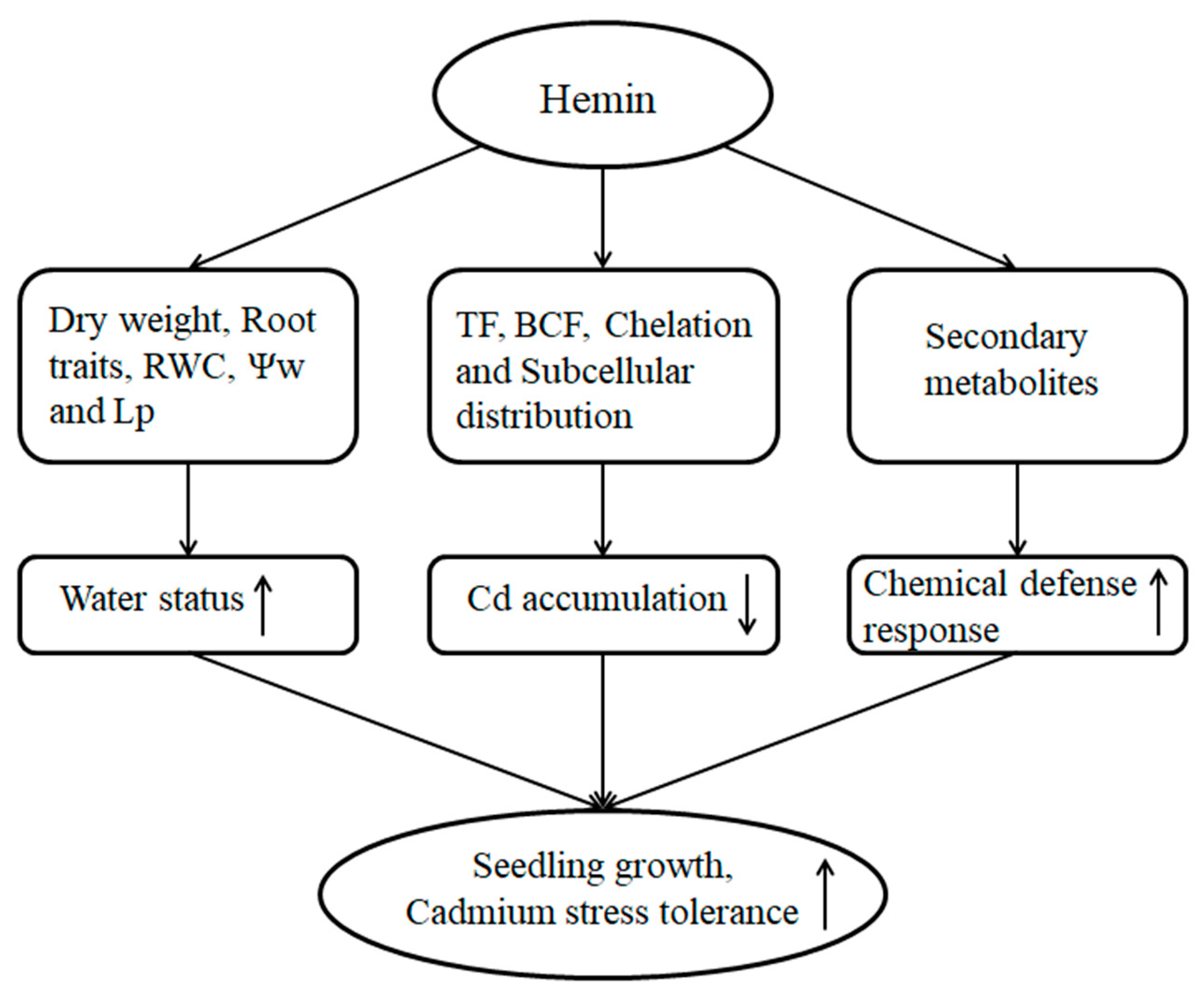 Agronomy 11 00739 g001