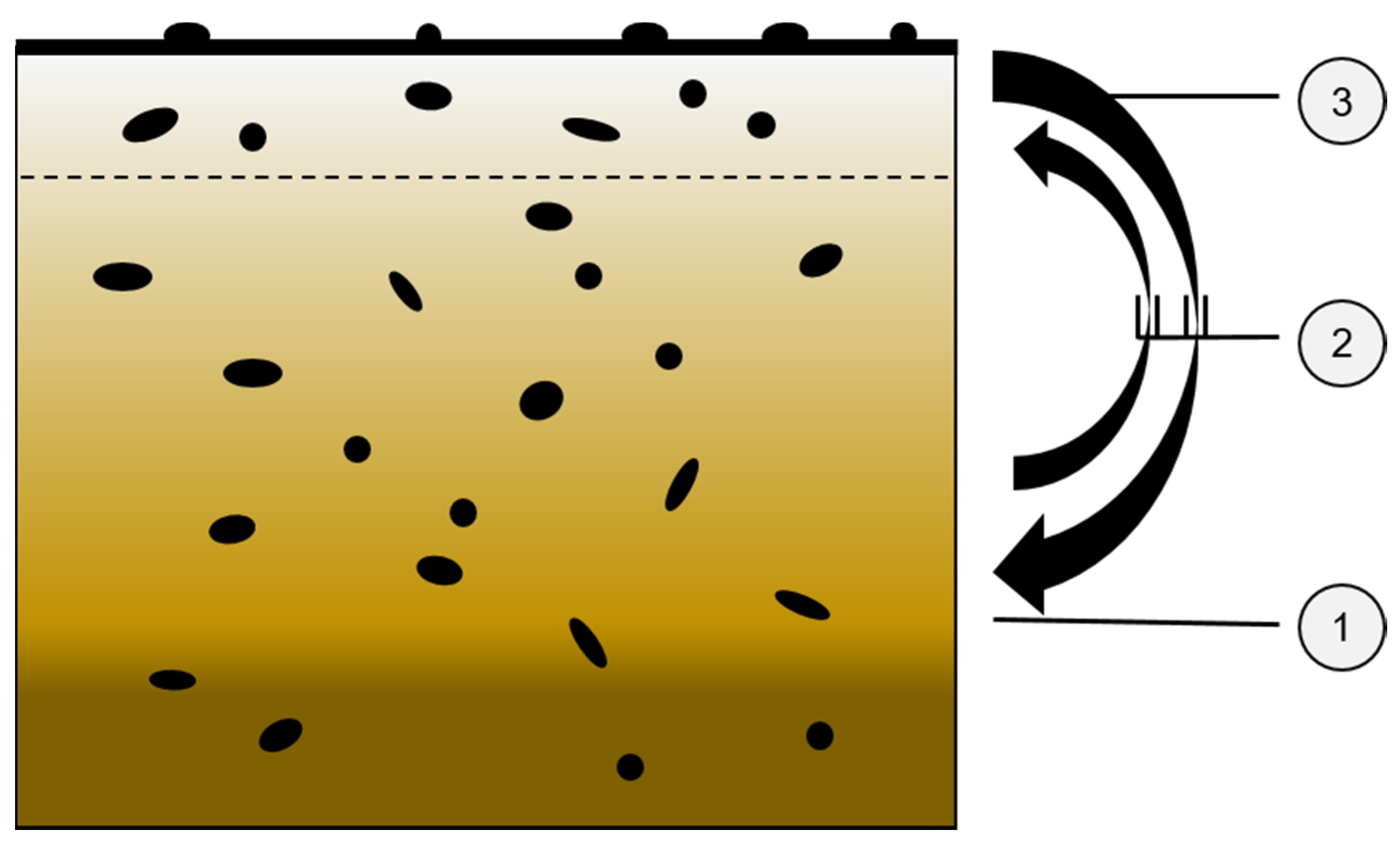 Agronomy 11 00747 g002