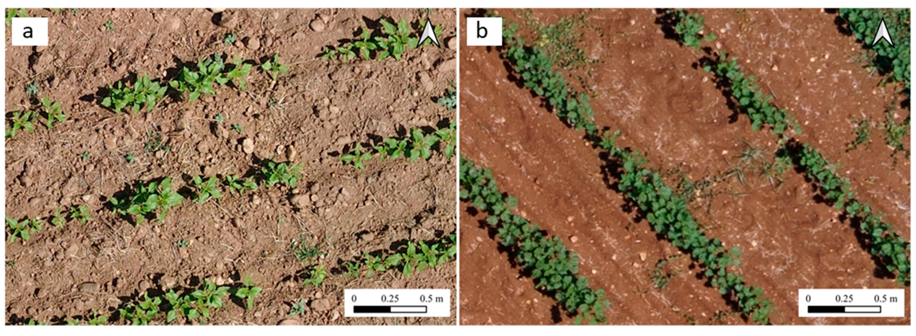 Agronomy 11 00749 g003