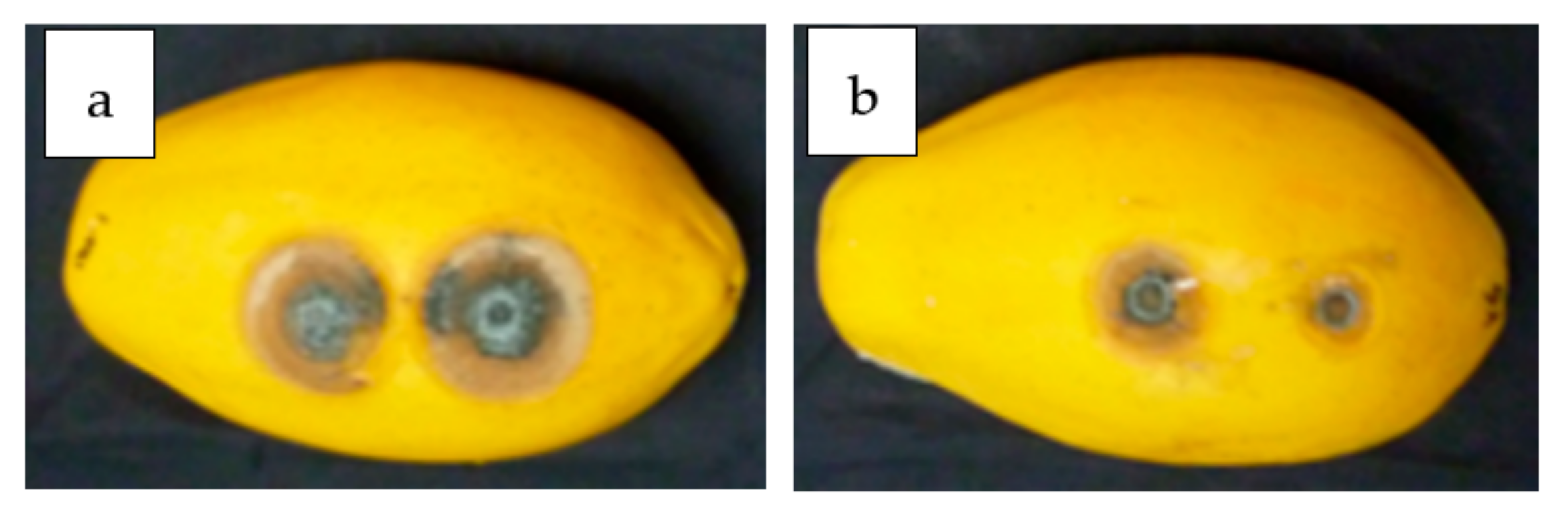 Agronomy 11 00760 g002