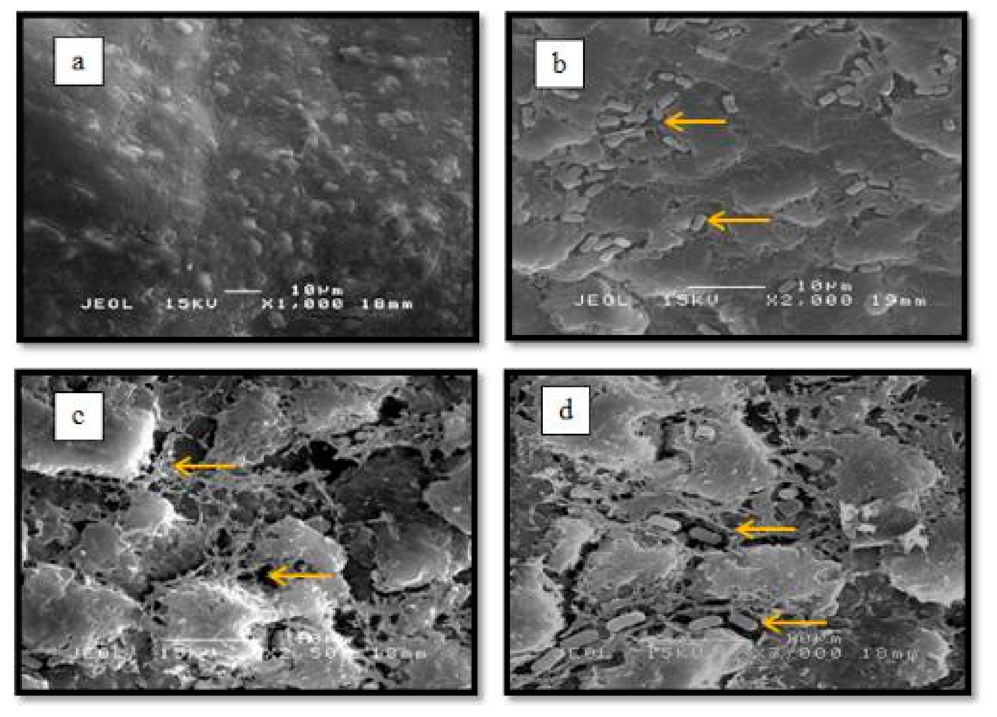 Agronomy 11 00760 g005