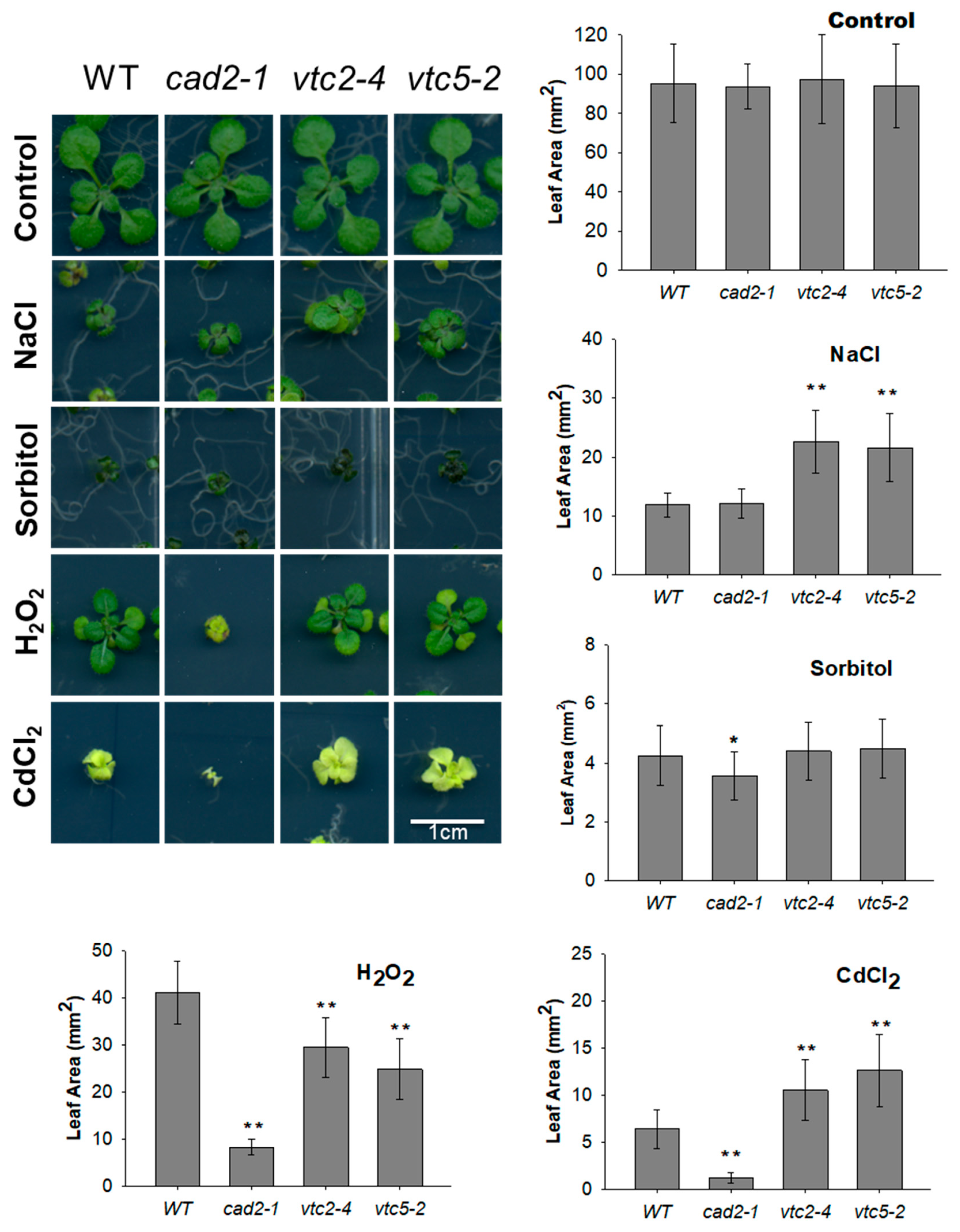 Agronomy 11 00764 g005 Agronomy 11 00764 g005