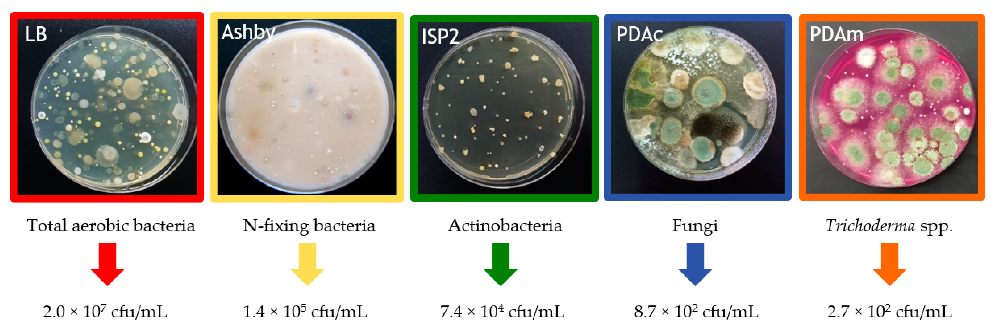 Agronomy 11 00781 g002 Agronomy 11 00781 g002