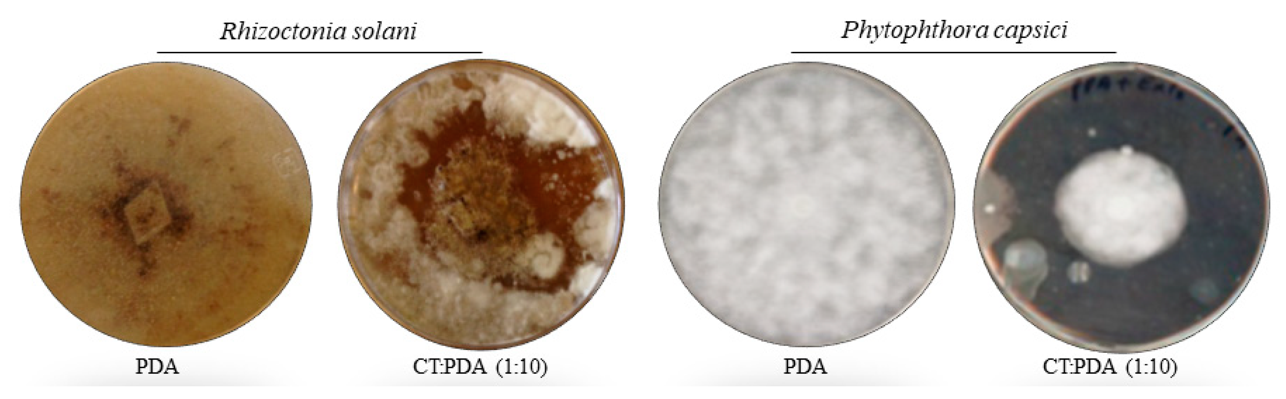 Agronomy 11 00781 g003 Agronomy 11 00781 g003