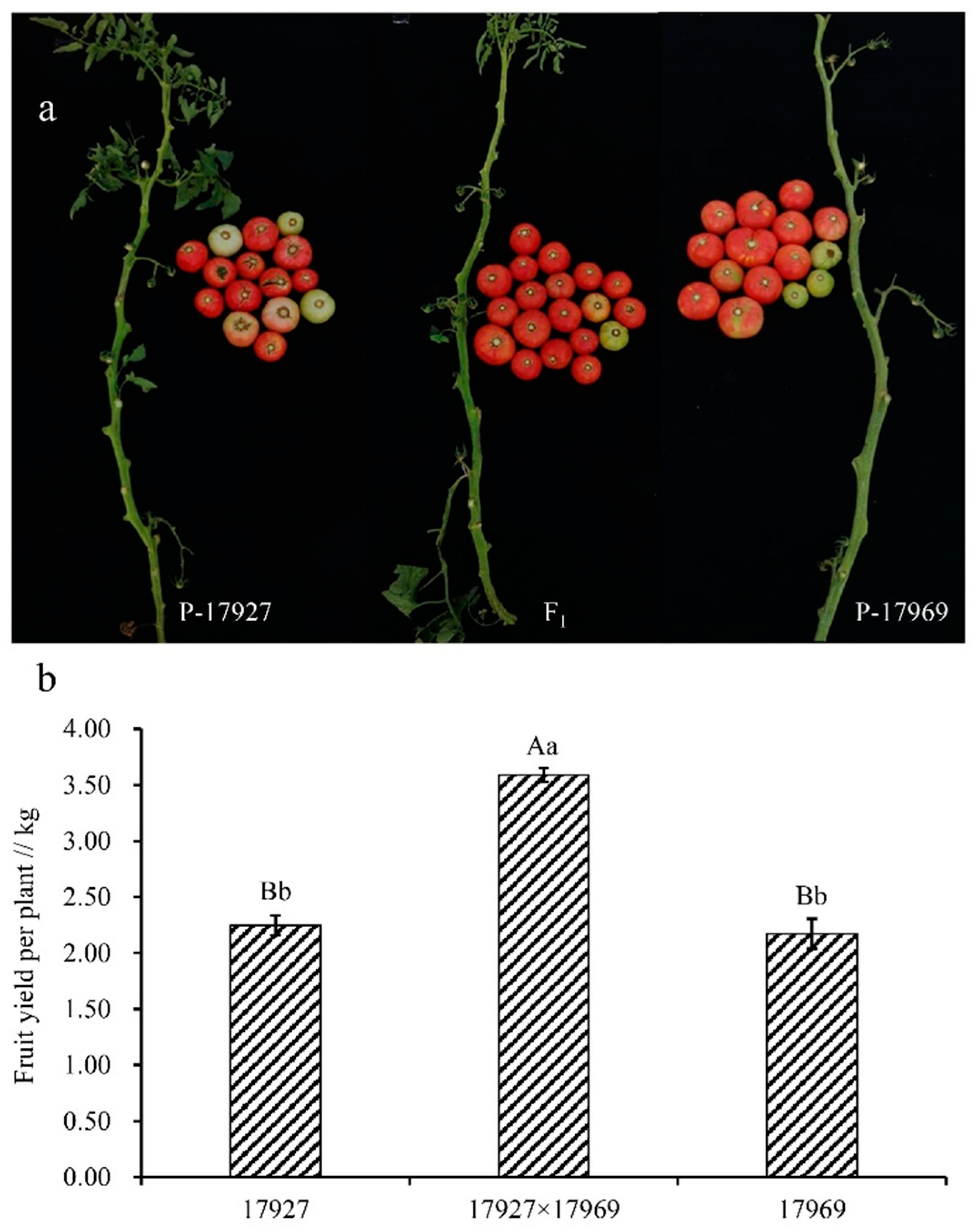 Agronomy 11 00807 g005