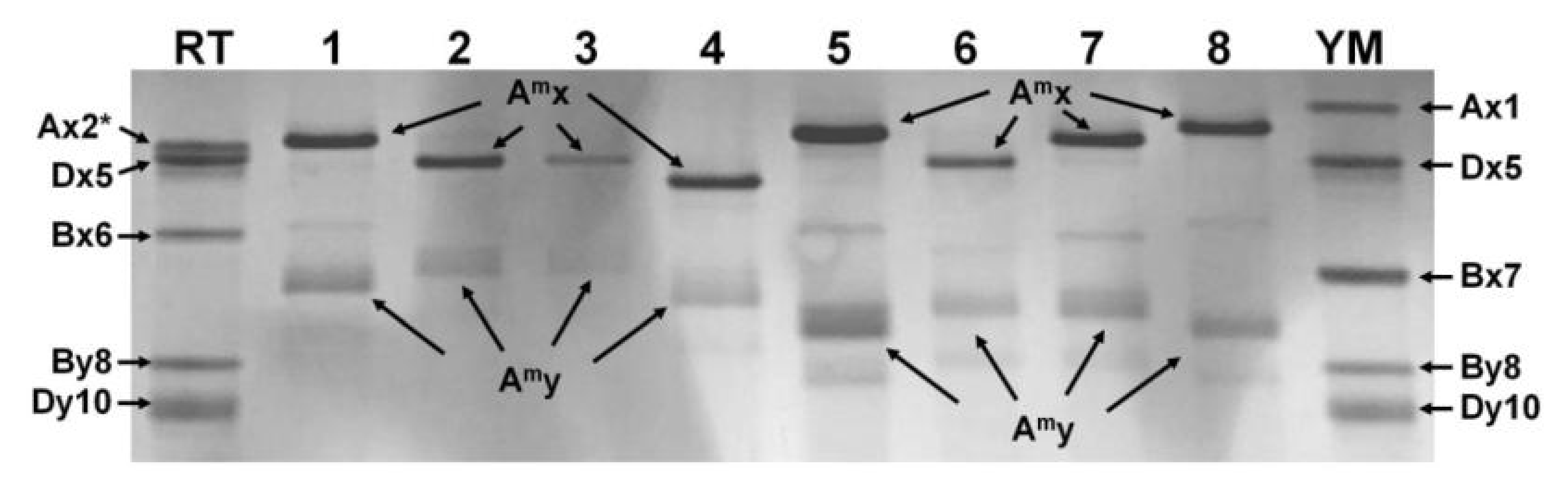 Agronomy 11 00816 g001