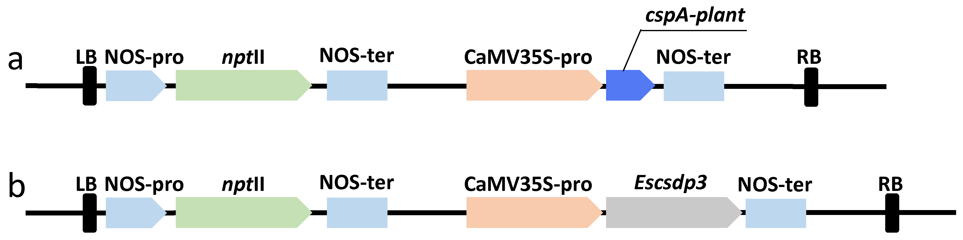 Agronomy 11 00827 g001 Agronomy 11 00827 g001