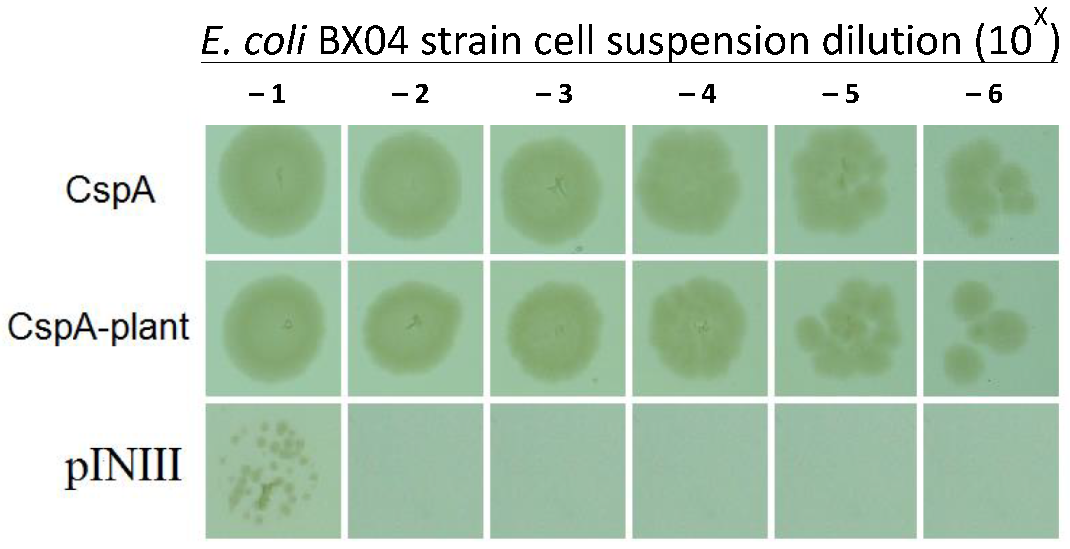 Agronomy 11 00827 g004 Agronomy 11 00827 g004