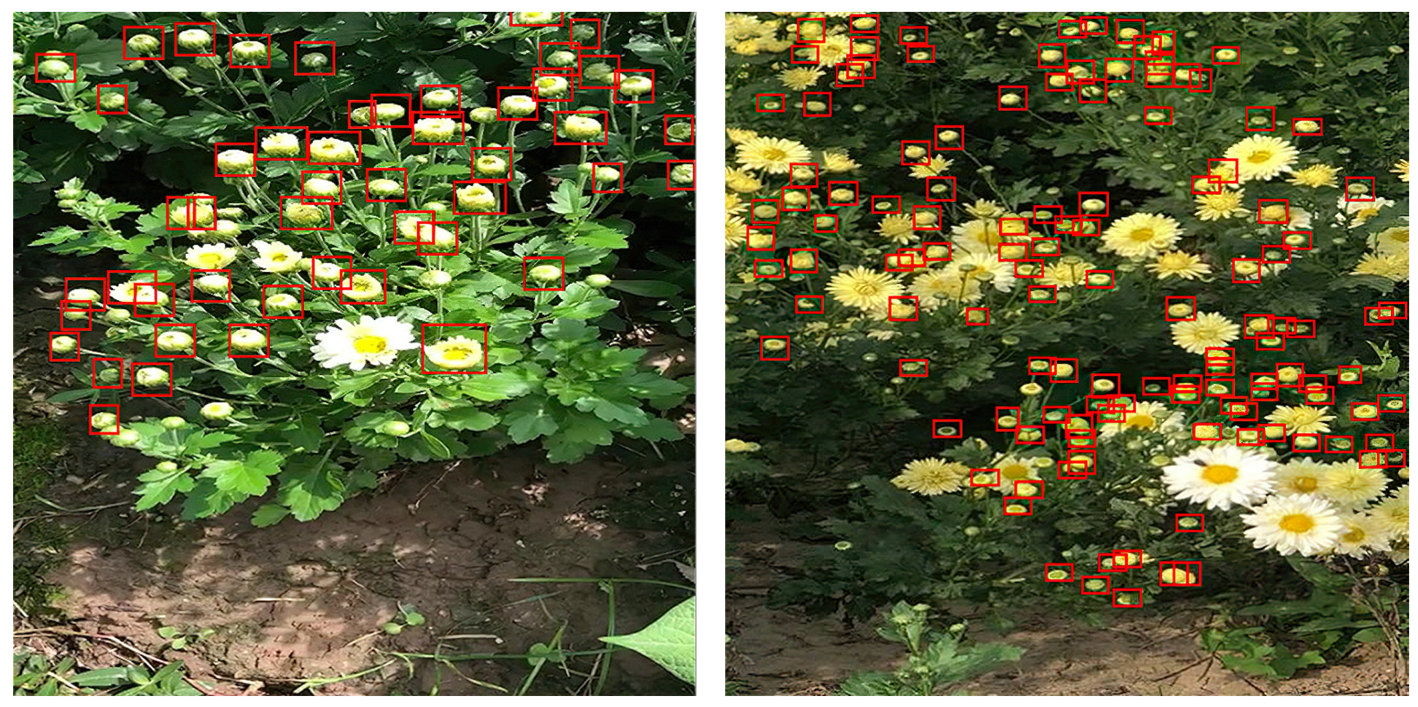 Agronomy 11 00834 g001 Agronomy 11 00834 g001