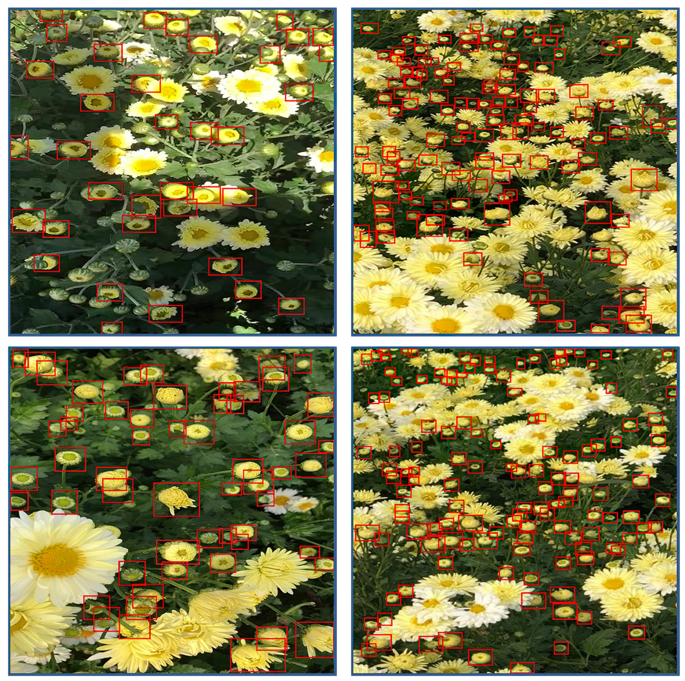 Agronomy 11 00834 g009 Agronomy 11 00834 g009