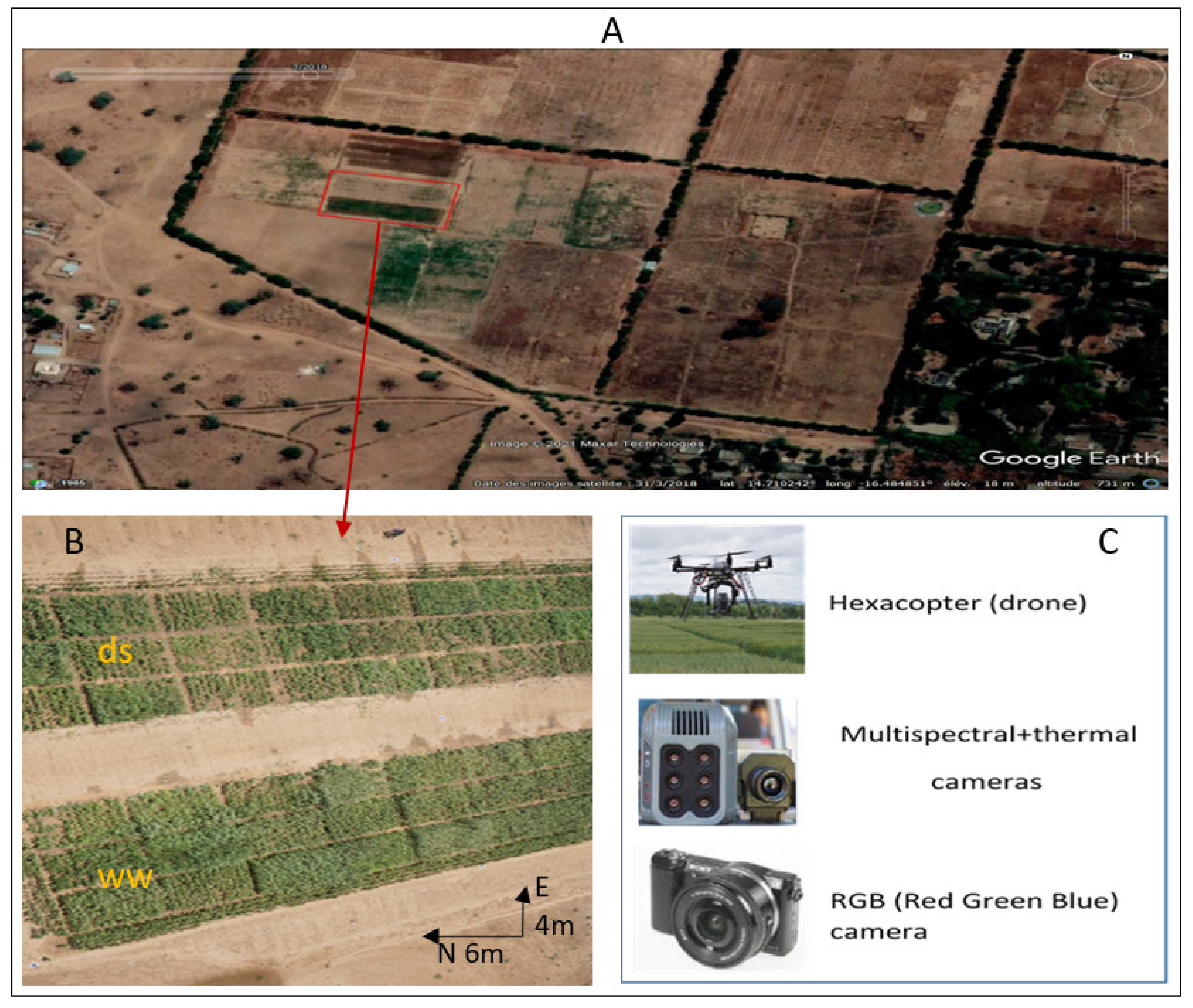 Agronomy 11 00850 g001 Agronomy 11 00850 g001