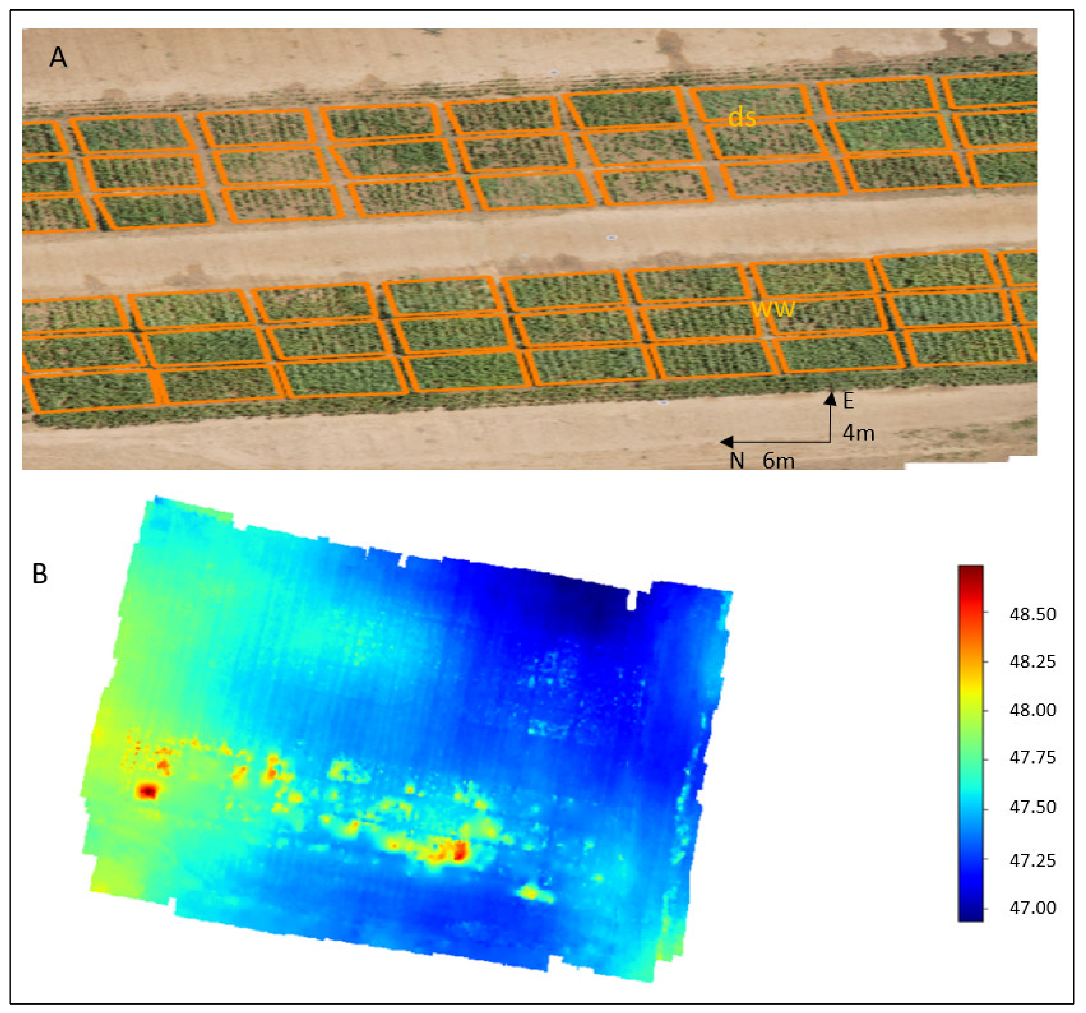 Agronomy 11 00850 g002 Agronomy 11 00850 g002