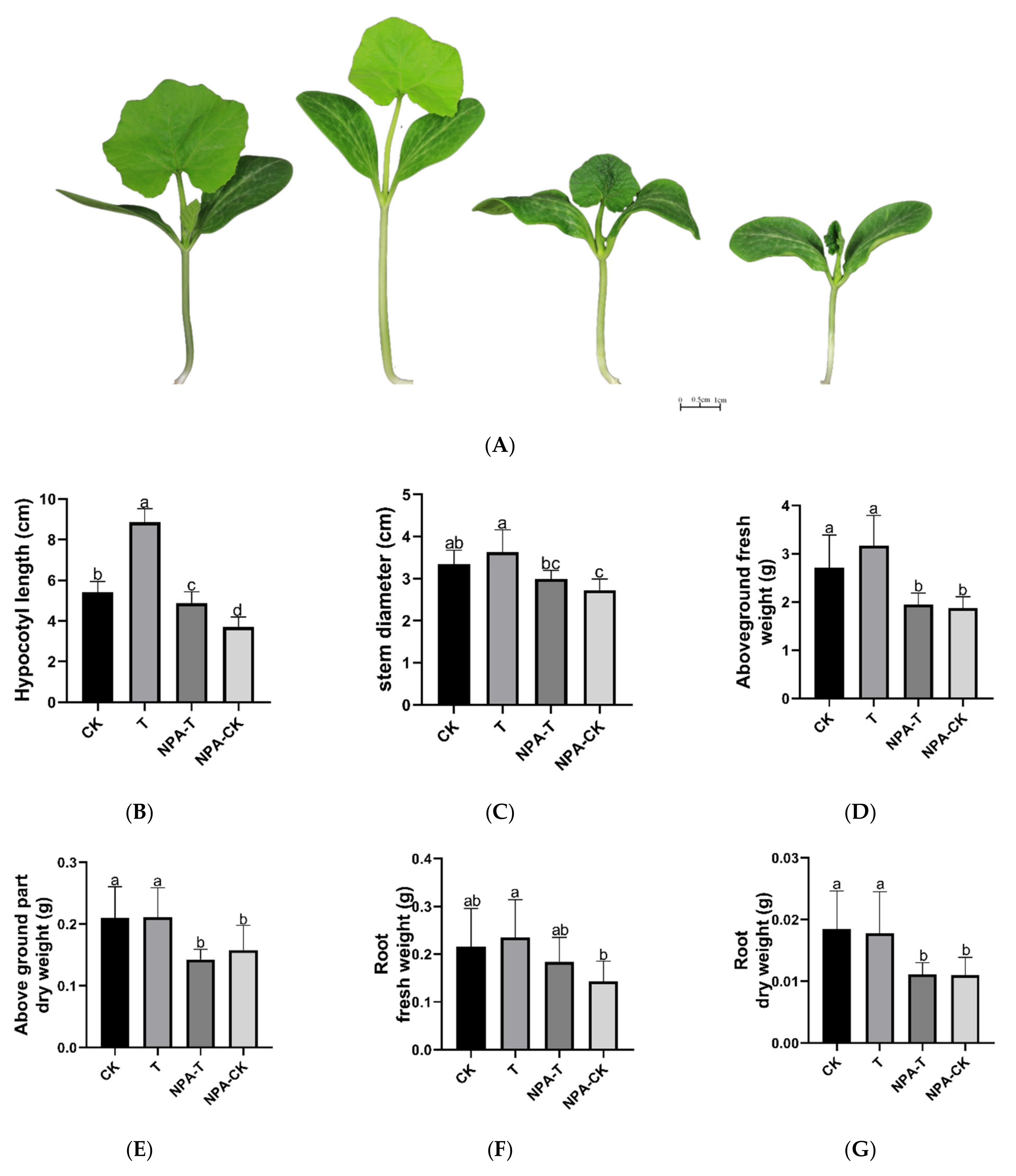 Agronomy 11 00853 g001a Agronomy 11 00853 g001a