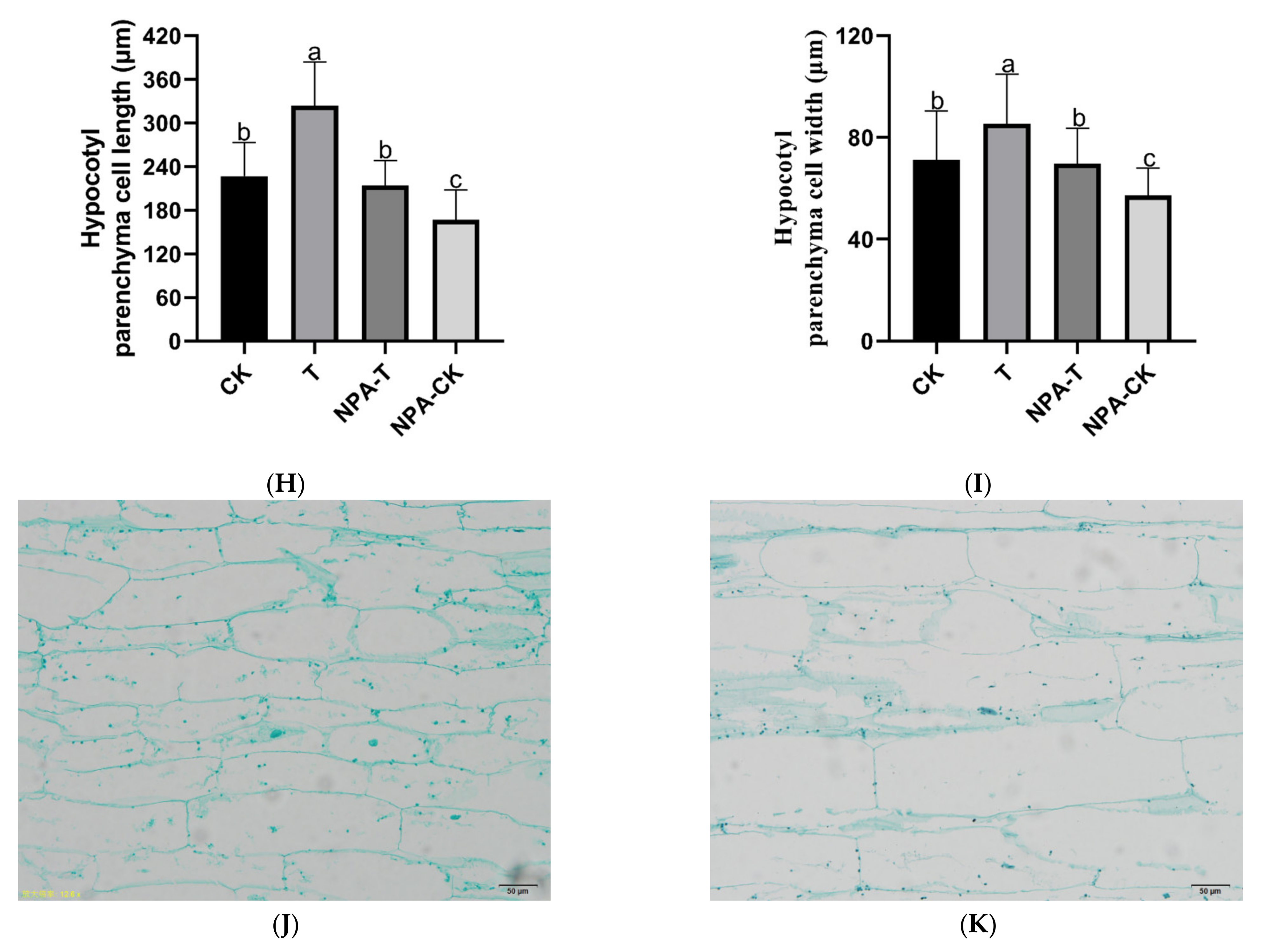 Agronomy 11 00853 g001b Agronomy 11 00853 g001b