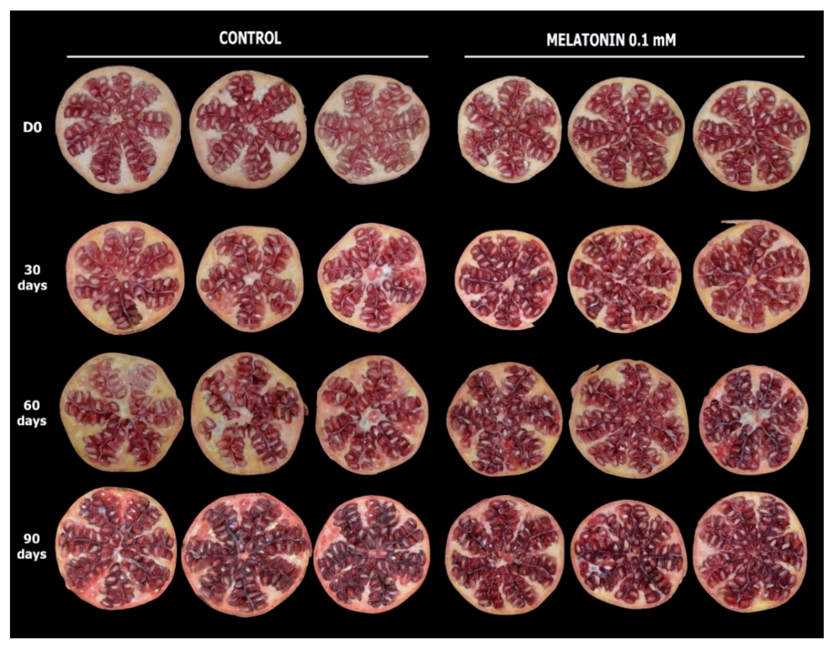 Agronomy 11 00861 g003 Agronomy 11 00861 g003