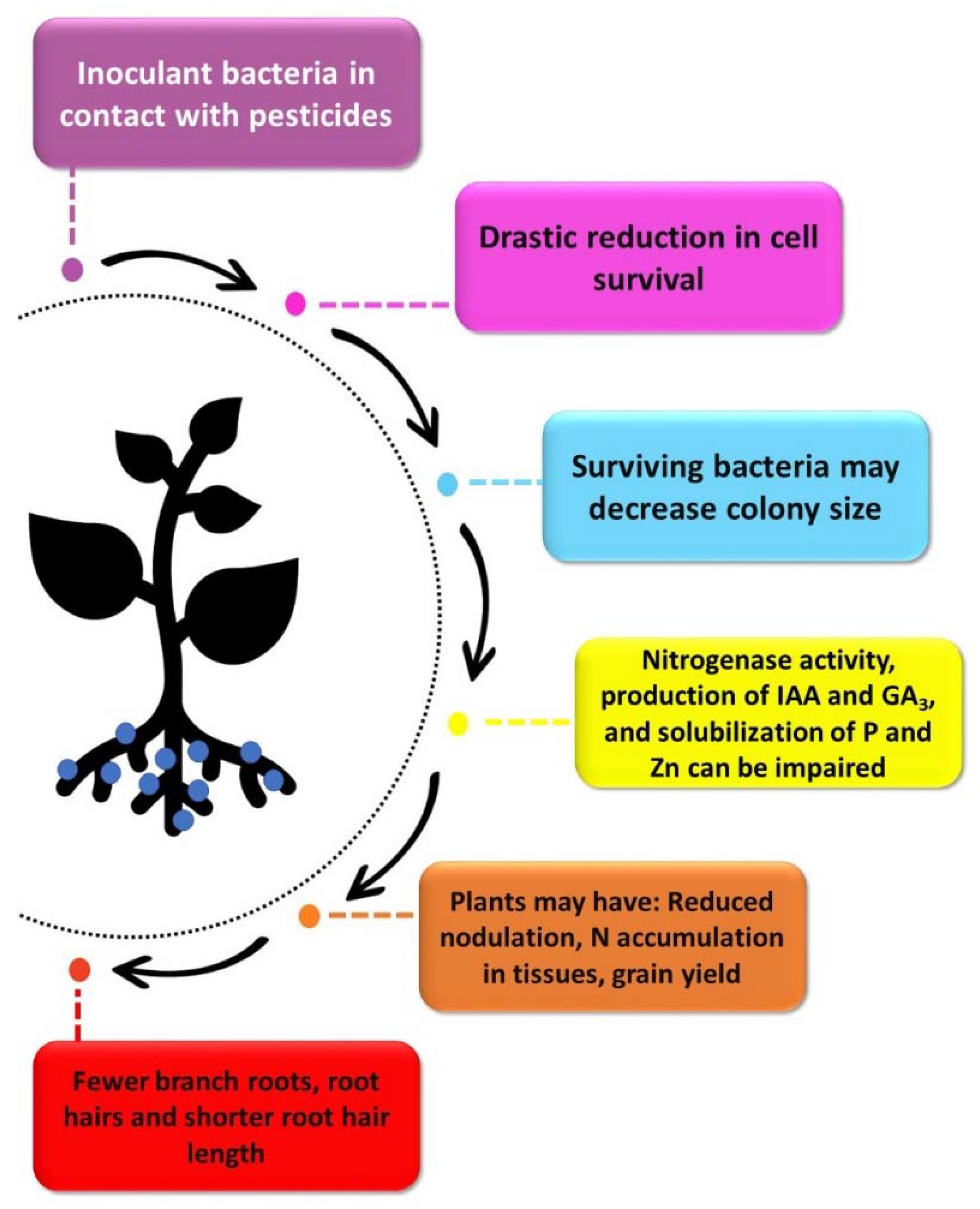 Agronomy 11 00870 g002 Agronomy 11 00870 g002