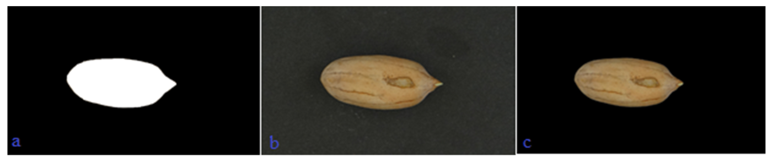 Agronomy 11 00873 g003