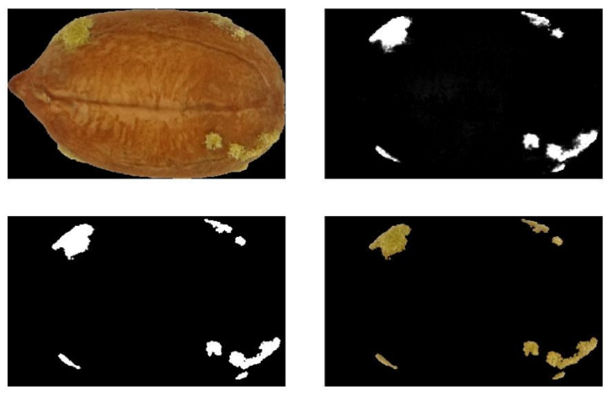 Agronomy 11 00873 g004