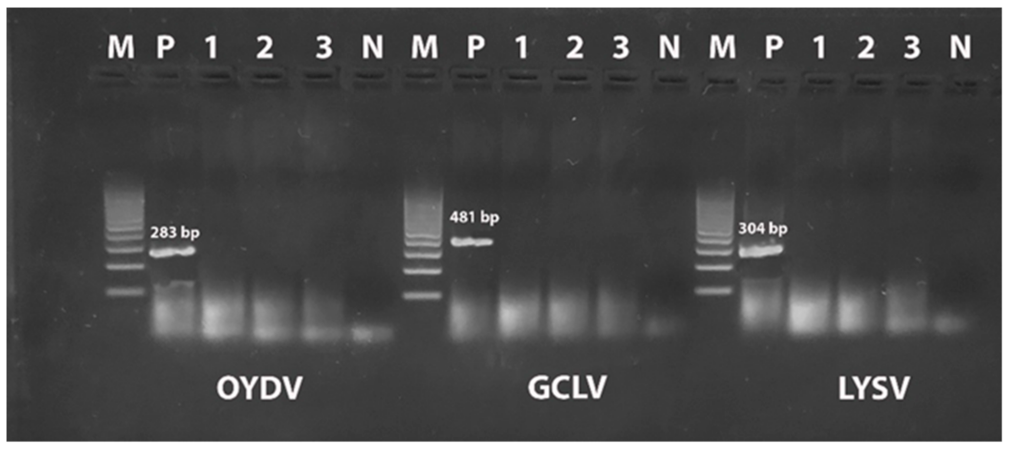 Agronomy 11 00876 g003 Agronomy 11 00876 g003