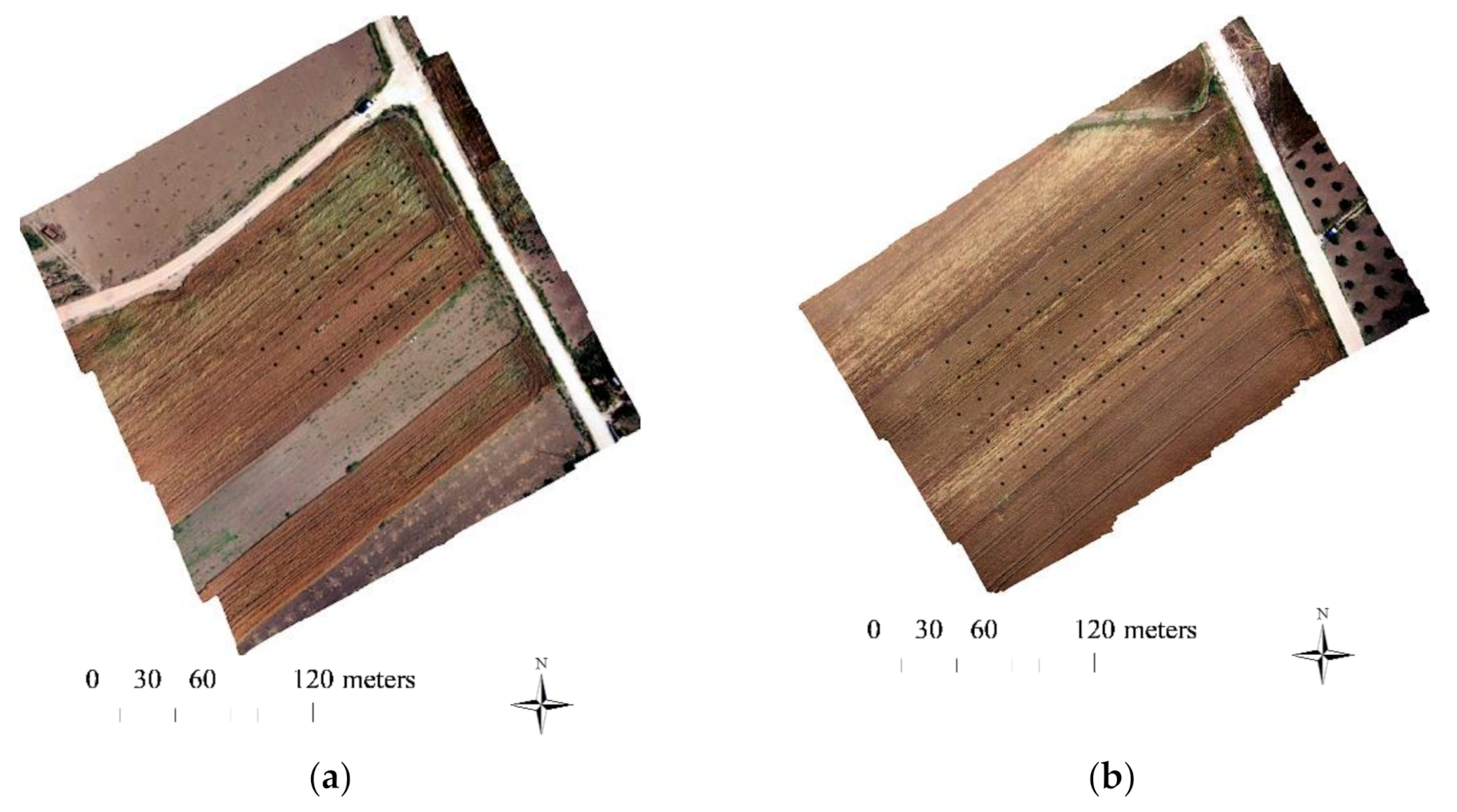 Agronomy 11 00880 g001