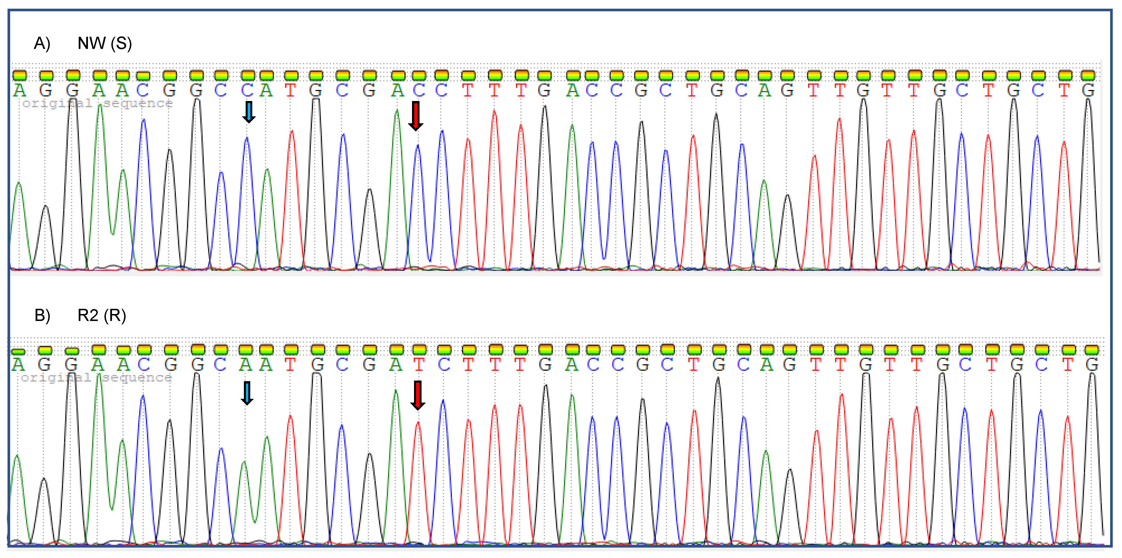 Agronomy 11 00884 g006 Agronomy 11 00884 g006
